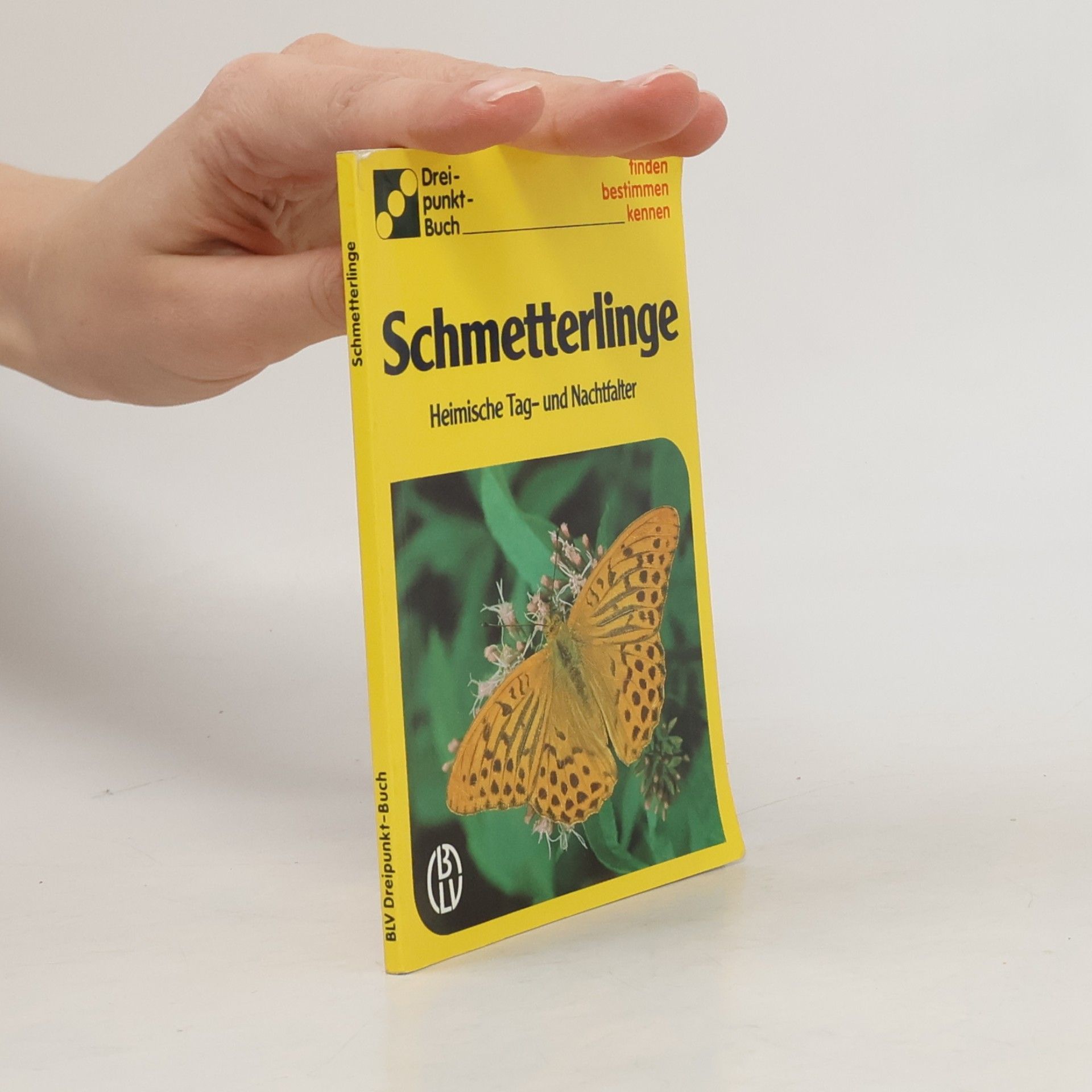 Autorenkollektiv Schmetterlinge