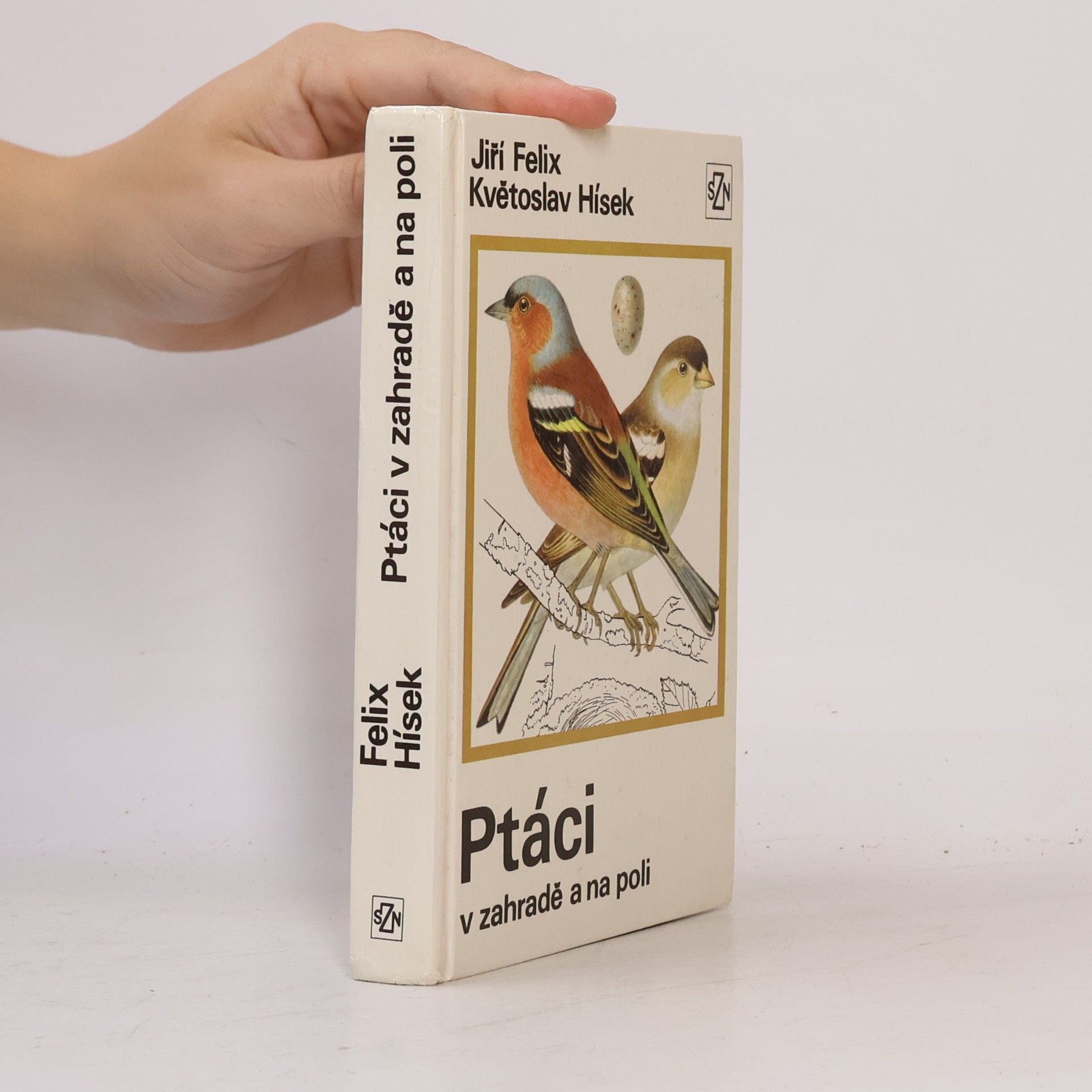 Květoslav Hísek Ptáci v zahradě a na poli