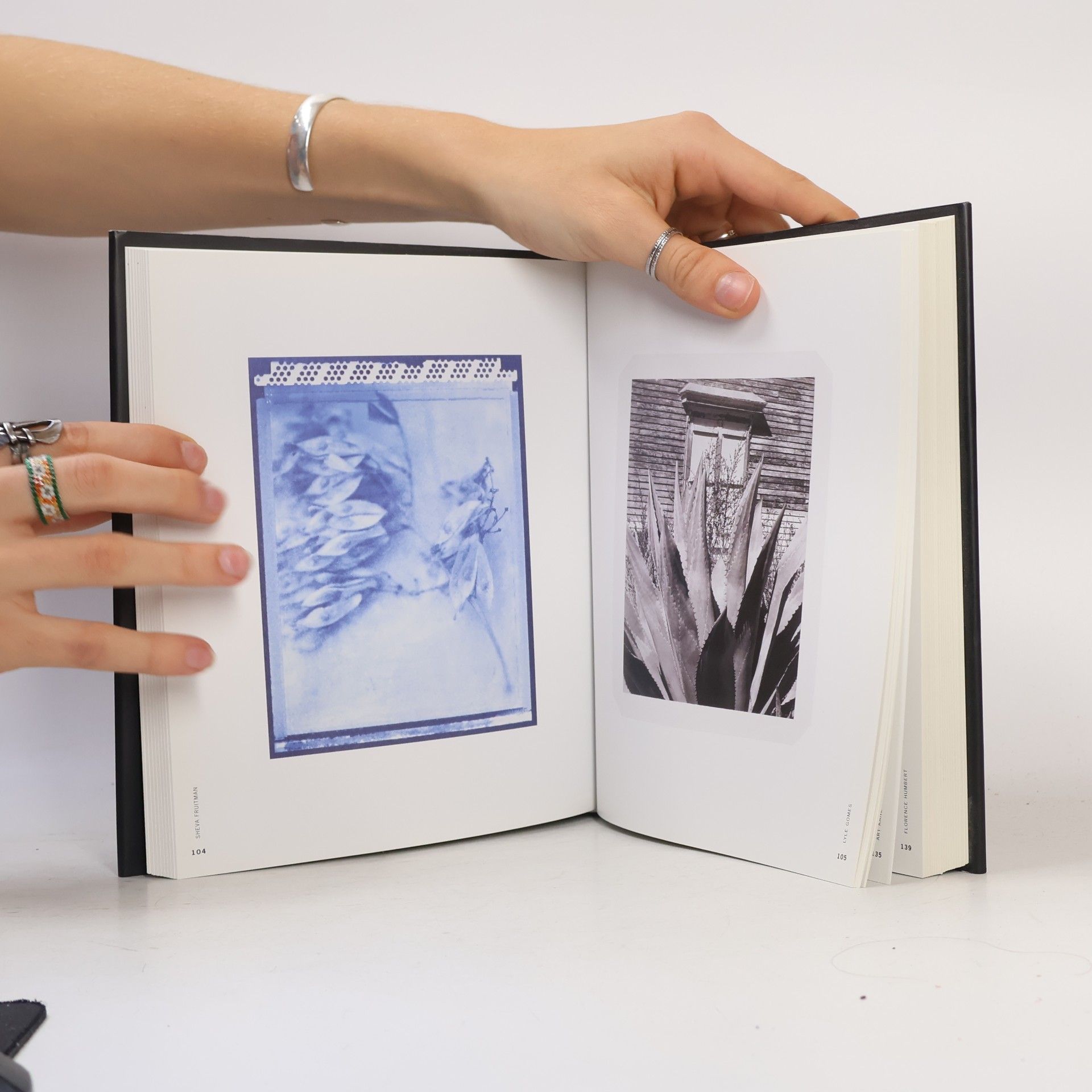 Barbara Hitchcock The Polaroid book: Selection from the polaroid collections of photography