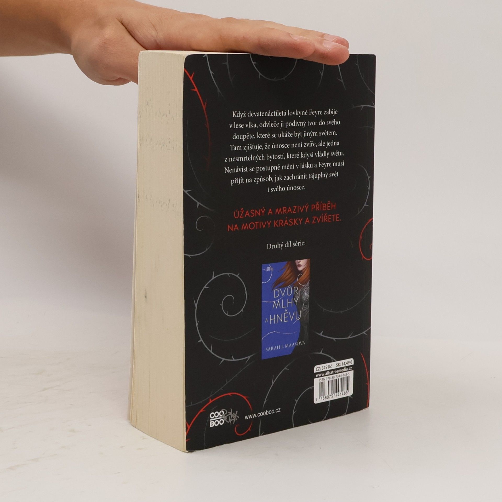 Sarah J. Maas Dvůr trnů a růží
