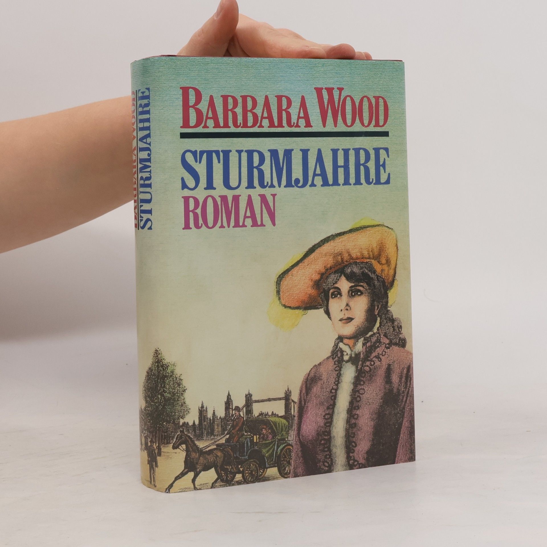 Barbara Wood Sturmjahre