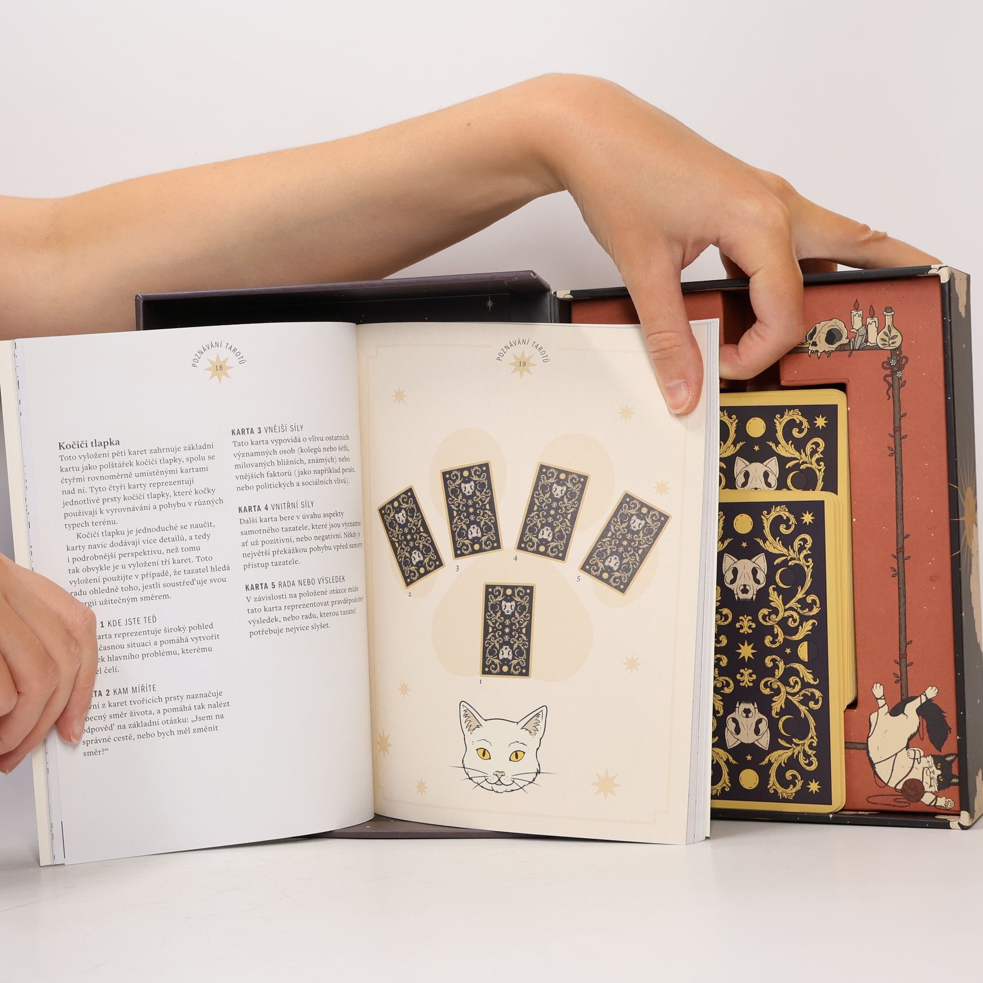 Catherine Davidson Kočky vládnou světu. Tarot