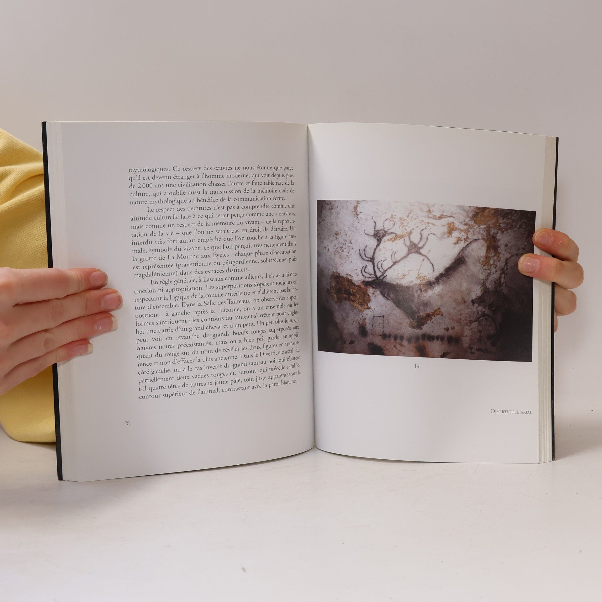 Jean-Michel Geneste Lascaux une oeuvre de mémoire