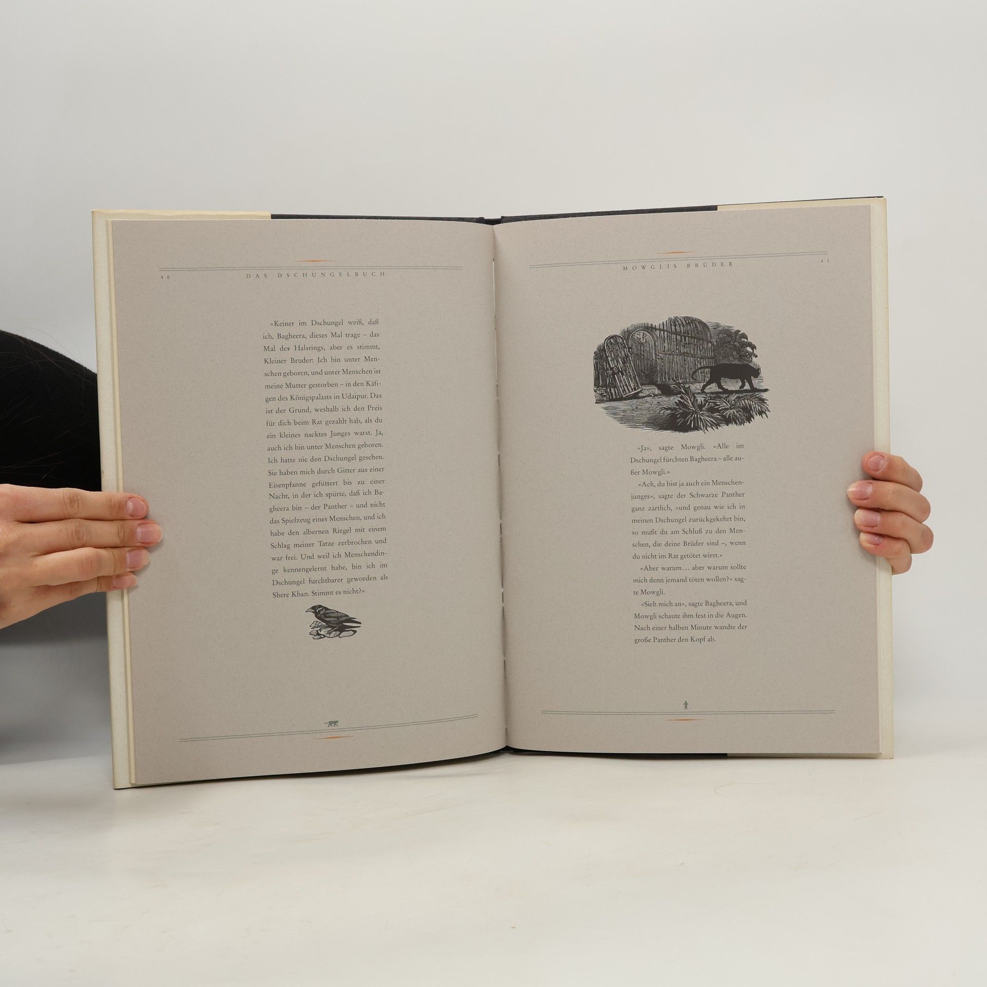 Rudyard Kipling Mowglis Brüder