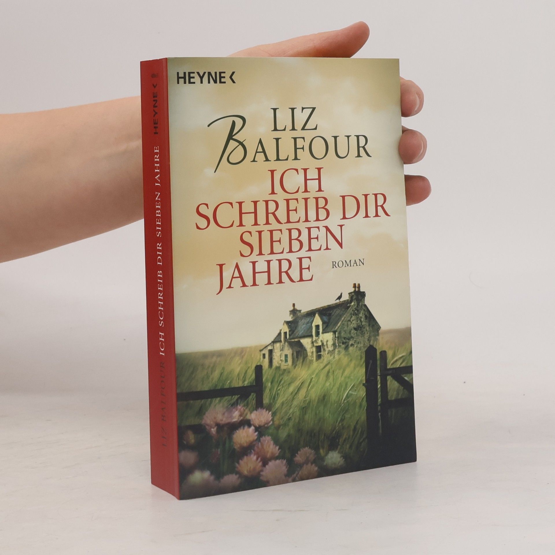 Liz Balfour Ich schreib dir sieben Jahre