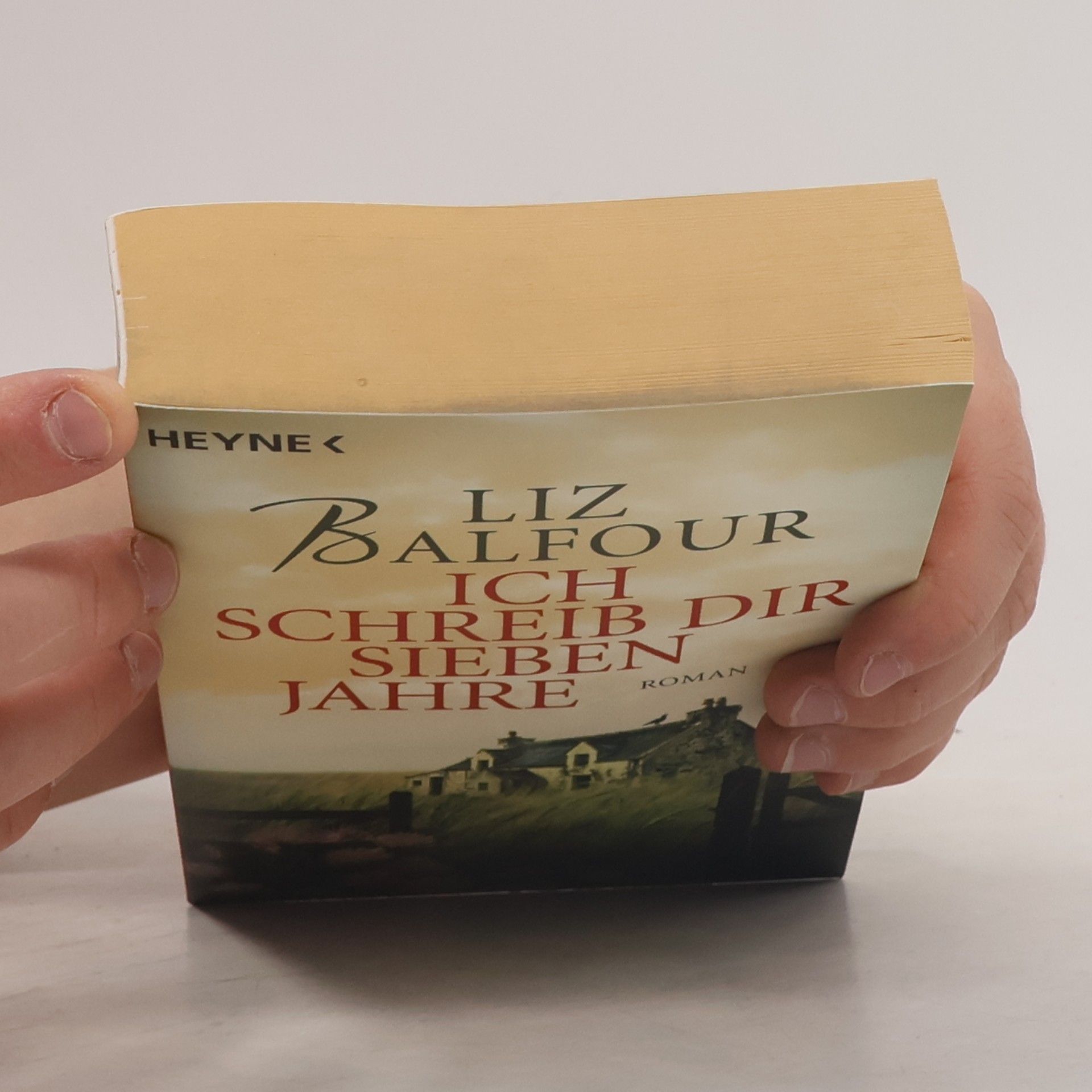 Liz Balfour Ich schreib dir sieben Jahre
