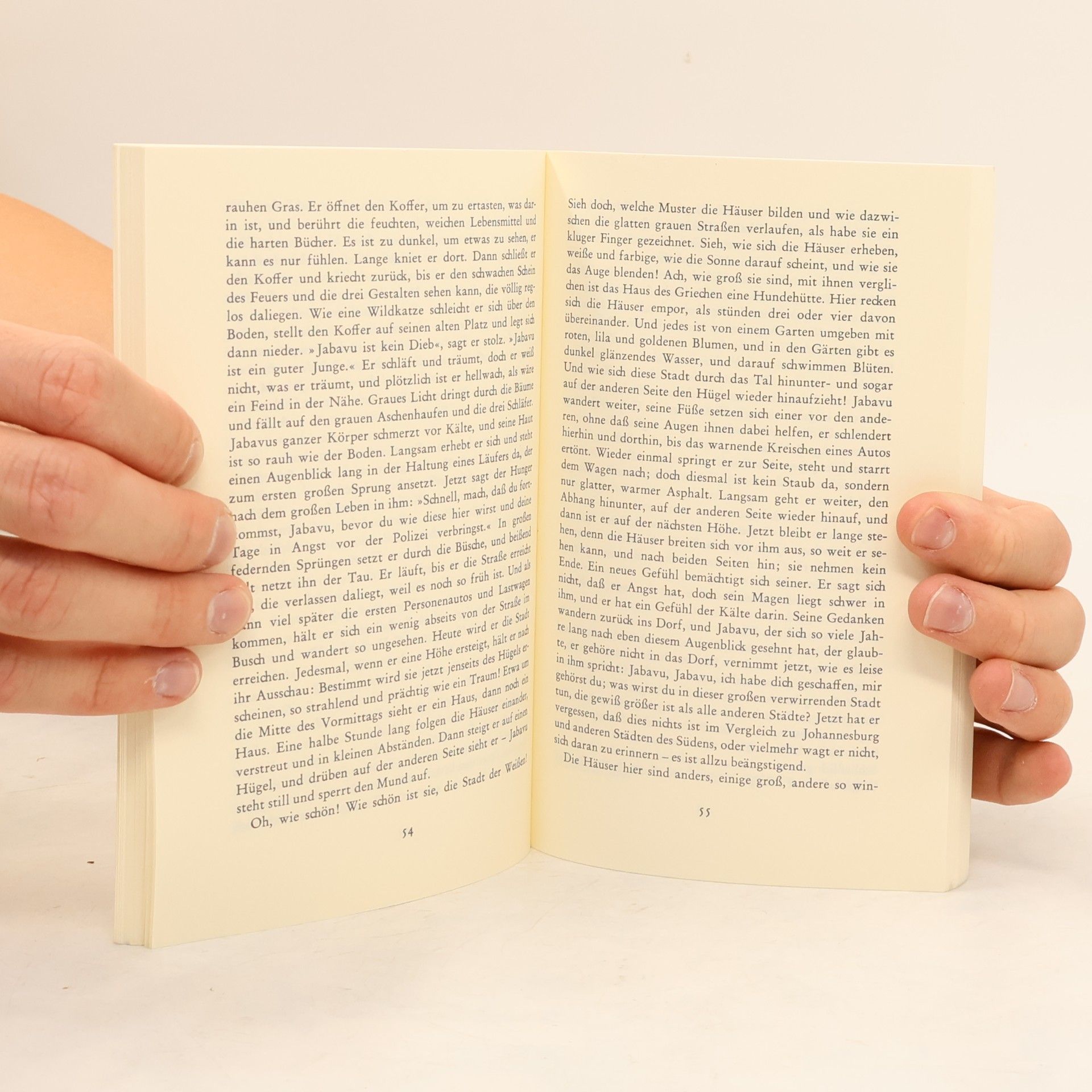 Doris Lessing Hunger nach dem grossen Leben
