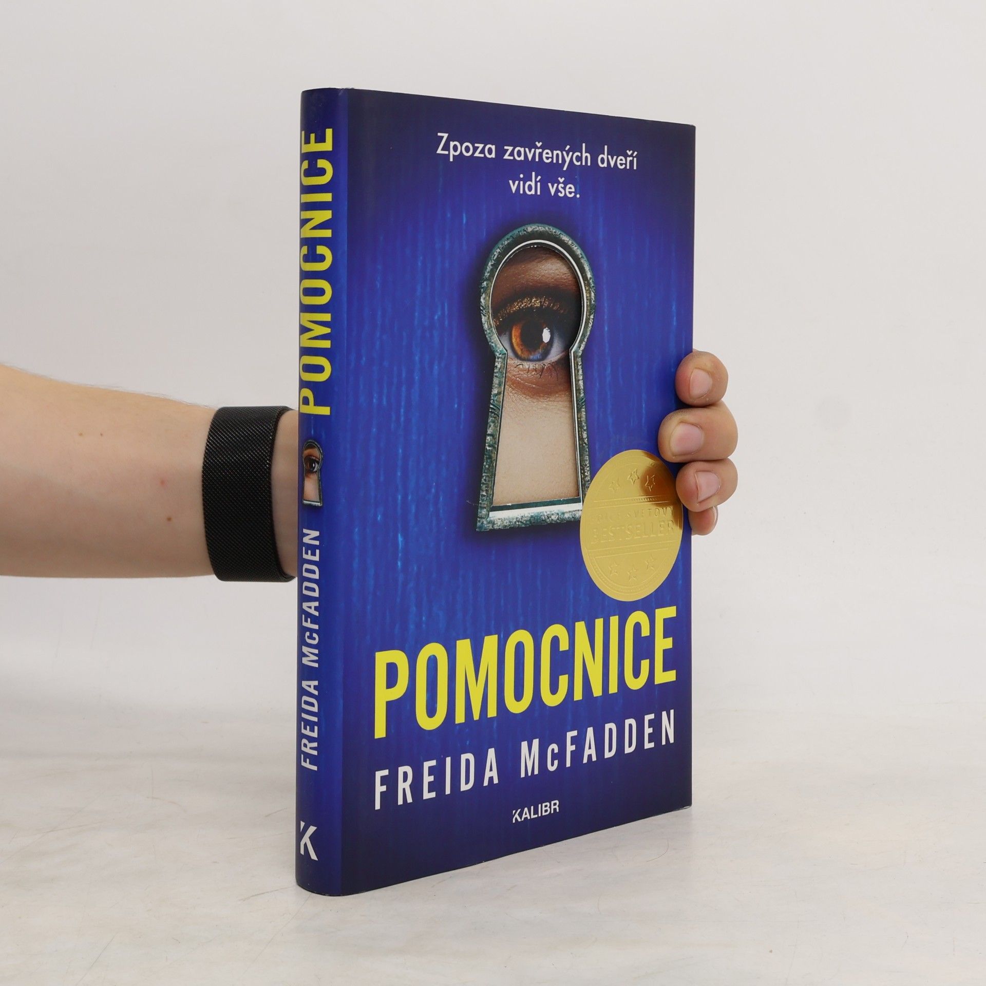 Freida McFadden Pomocnice