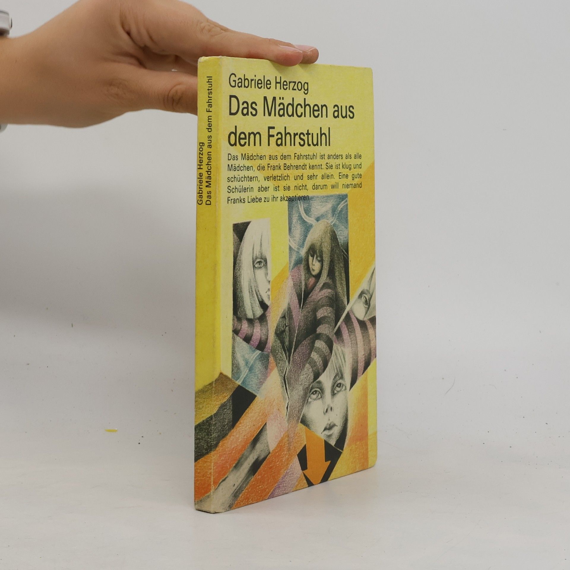 Gabriele Herzog Das Mädchen aus dem Fahrstuhl