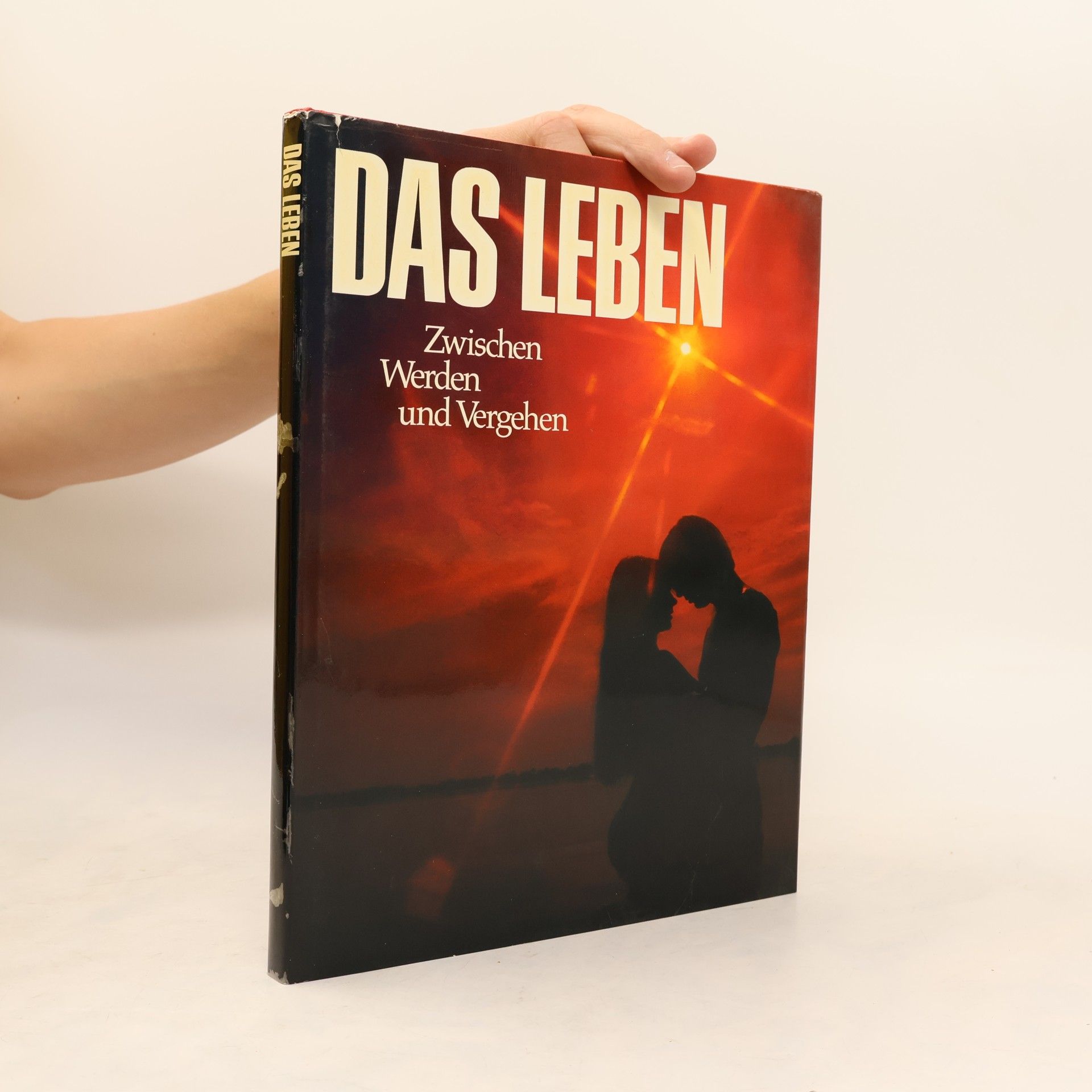 Alfons Drews Das Leben