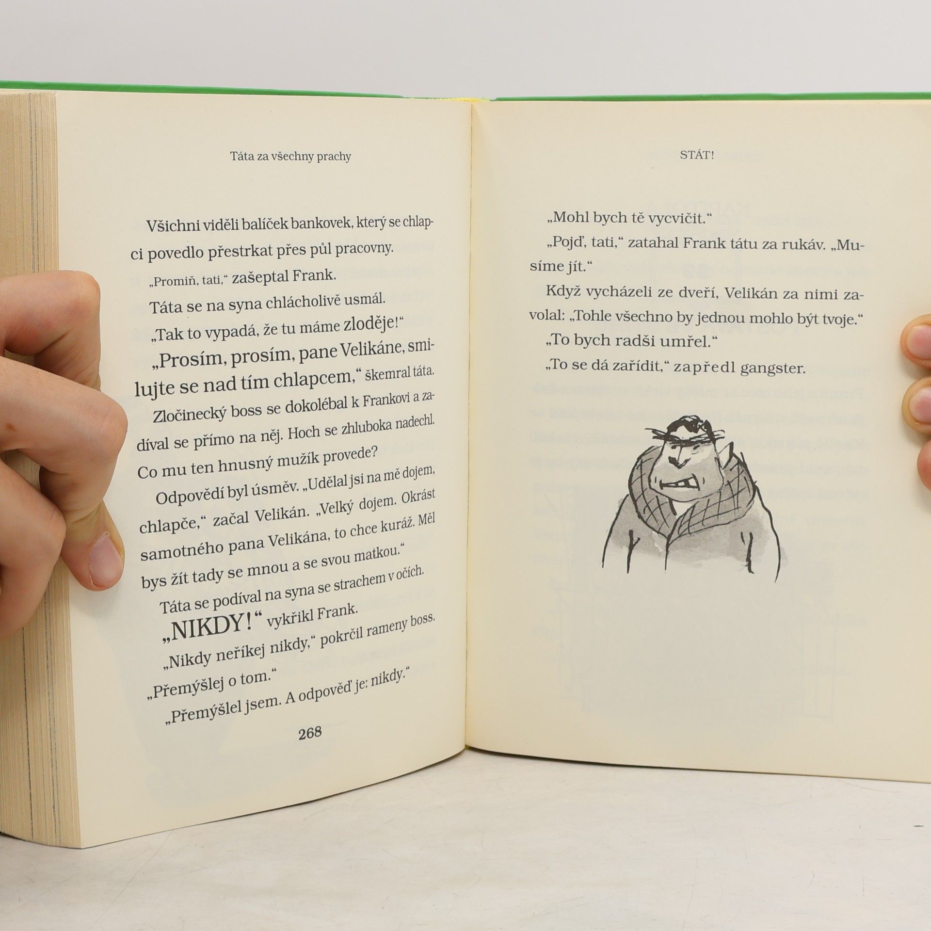 David Walliams Táta za všechny prachy