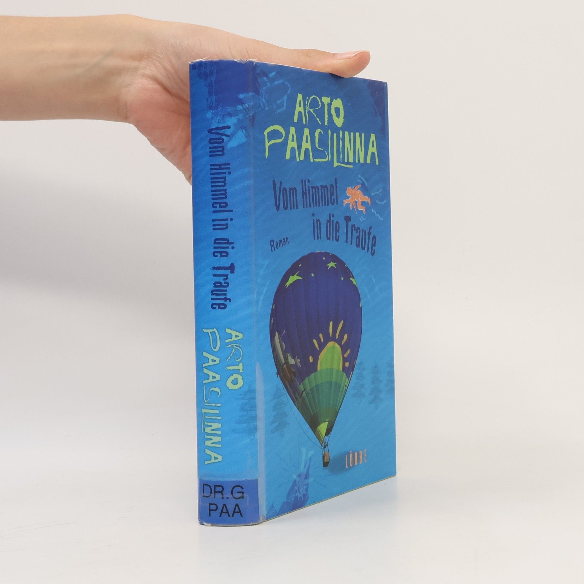 Arto Paasilinna Vom Himmel in die Traufe