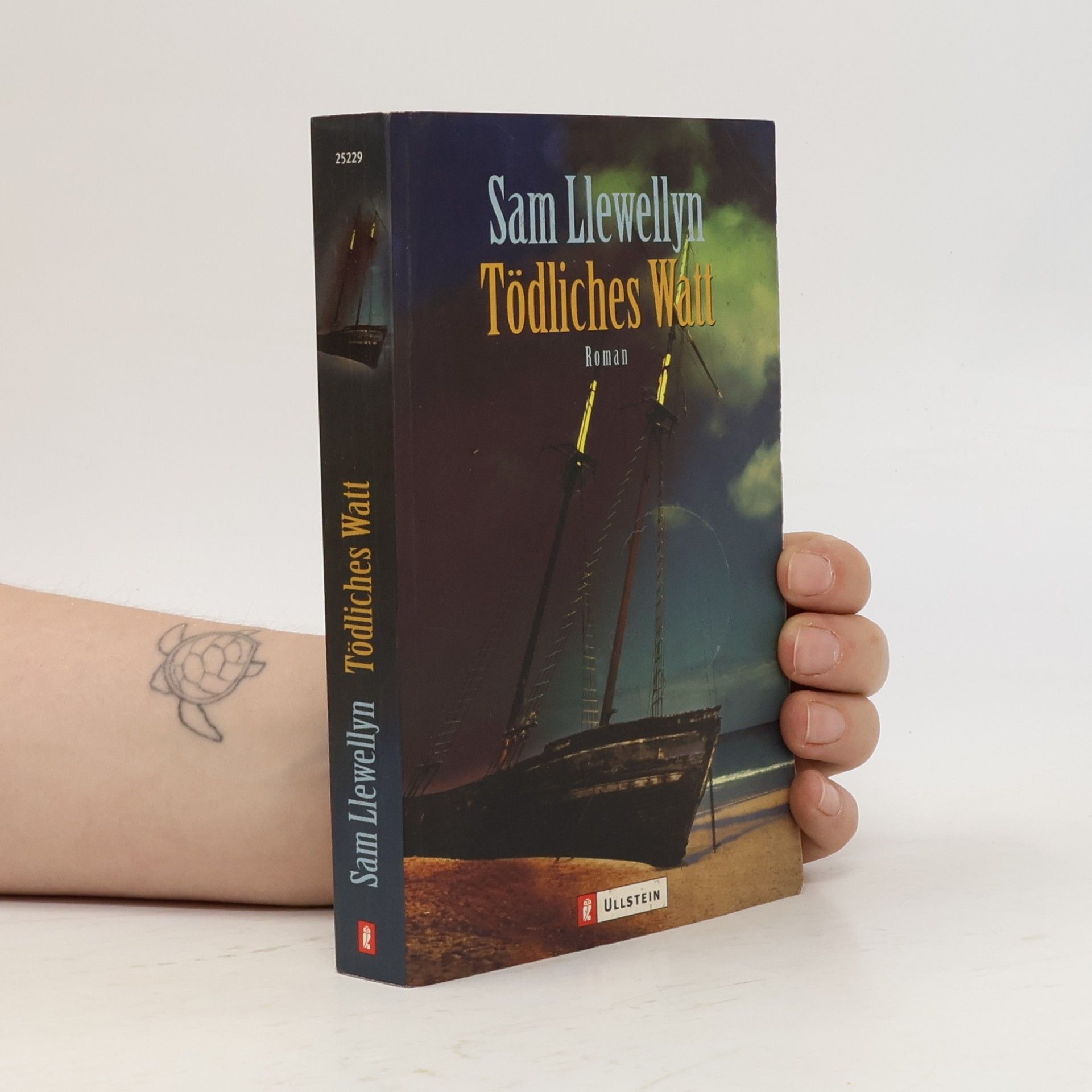 Sam Llewellyn Tödliches Watt.