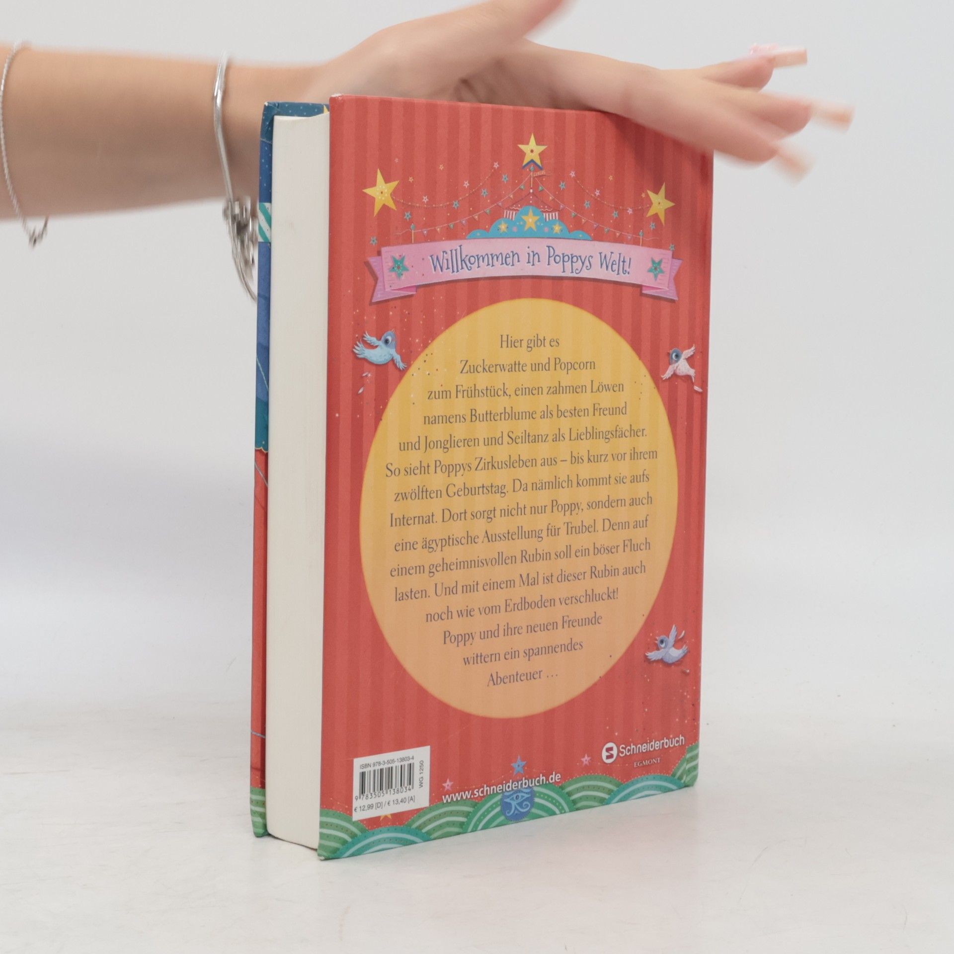 Laura Wood Poppy Pym und der gestohlene Rubin