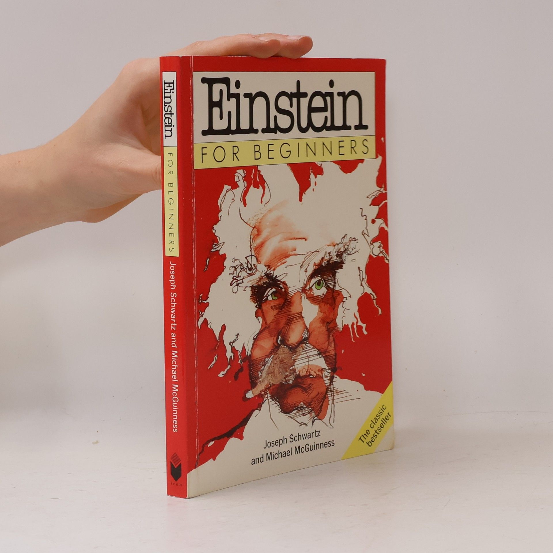 Joseph Schwartz Einstein for beginners