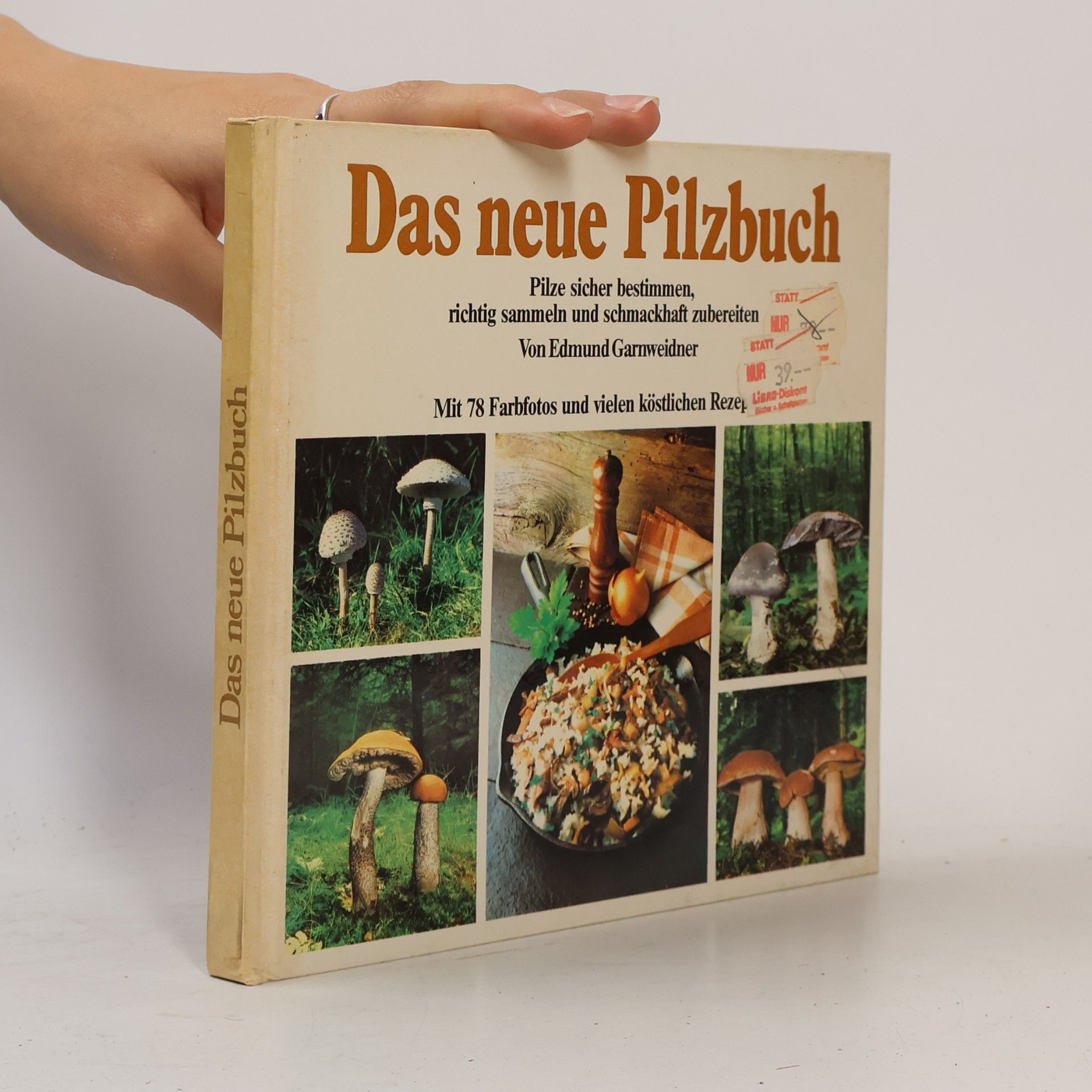 Autorenkollektiv Das neue Pilzbuch