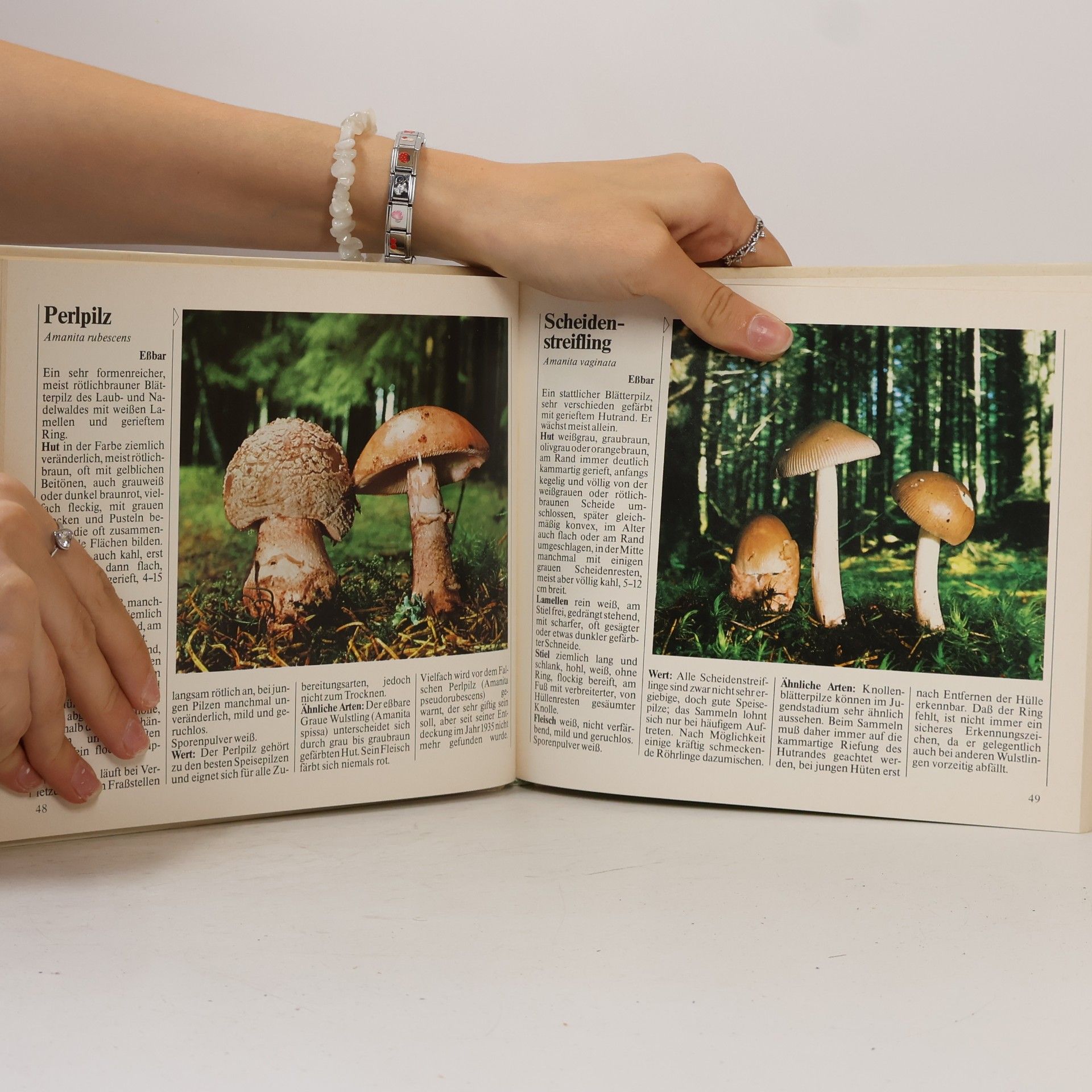 Autorenkollektiv Das neue Pilzbuch