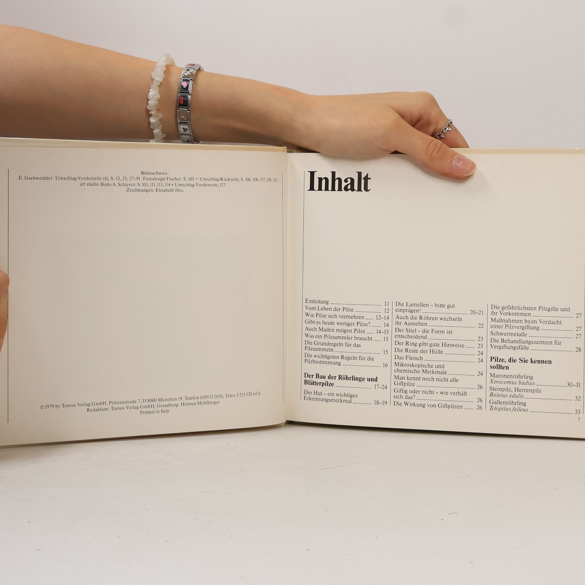 Autorenkollektiv Das neue Pilzbuch