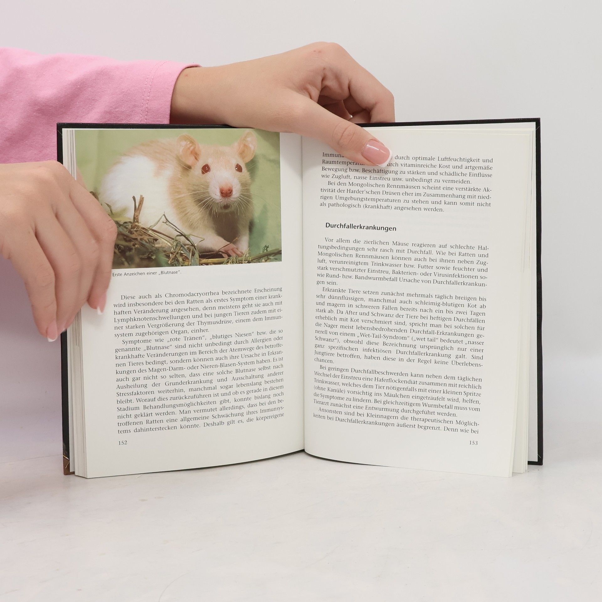 Brigitte Rauth-Widmann Ratten, Mäuse und Rennmäuse als Heimtiere