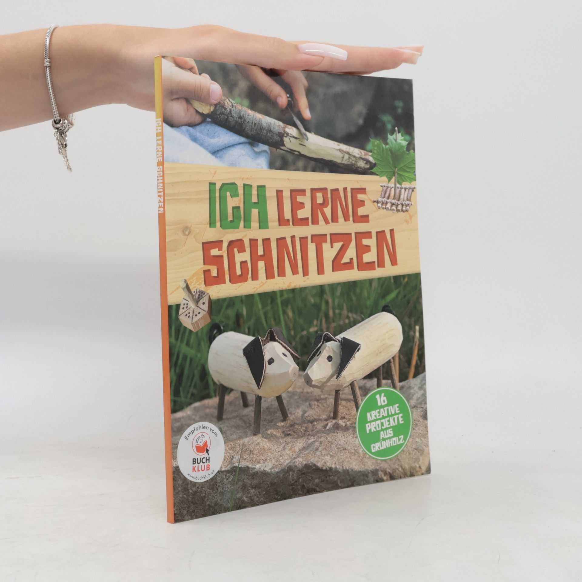 Kolektiv autorů Ich lerne Schnitzen - 16 kreative Projekte aus Grünholz