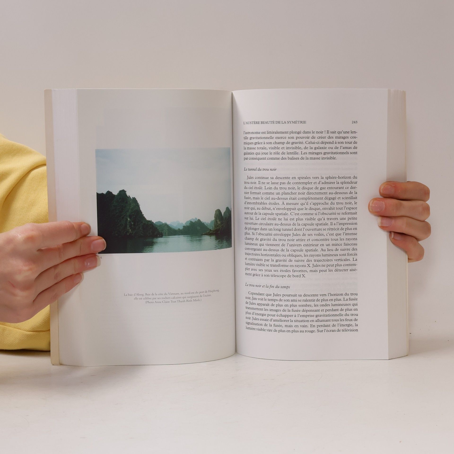 Xuan Thuan Trinh Le temps des sciences: Le chaos et l'harmonie