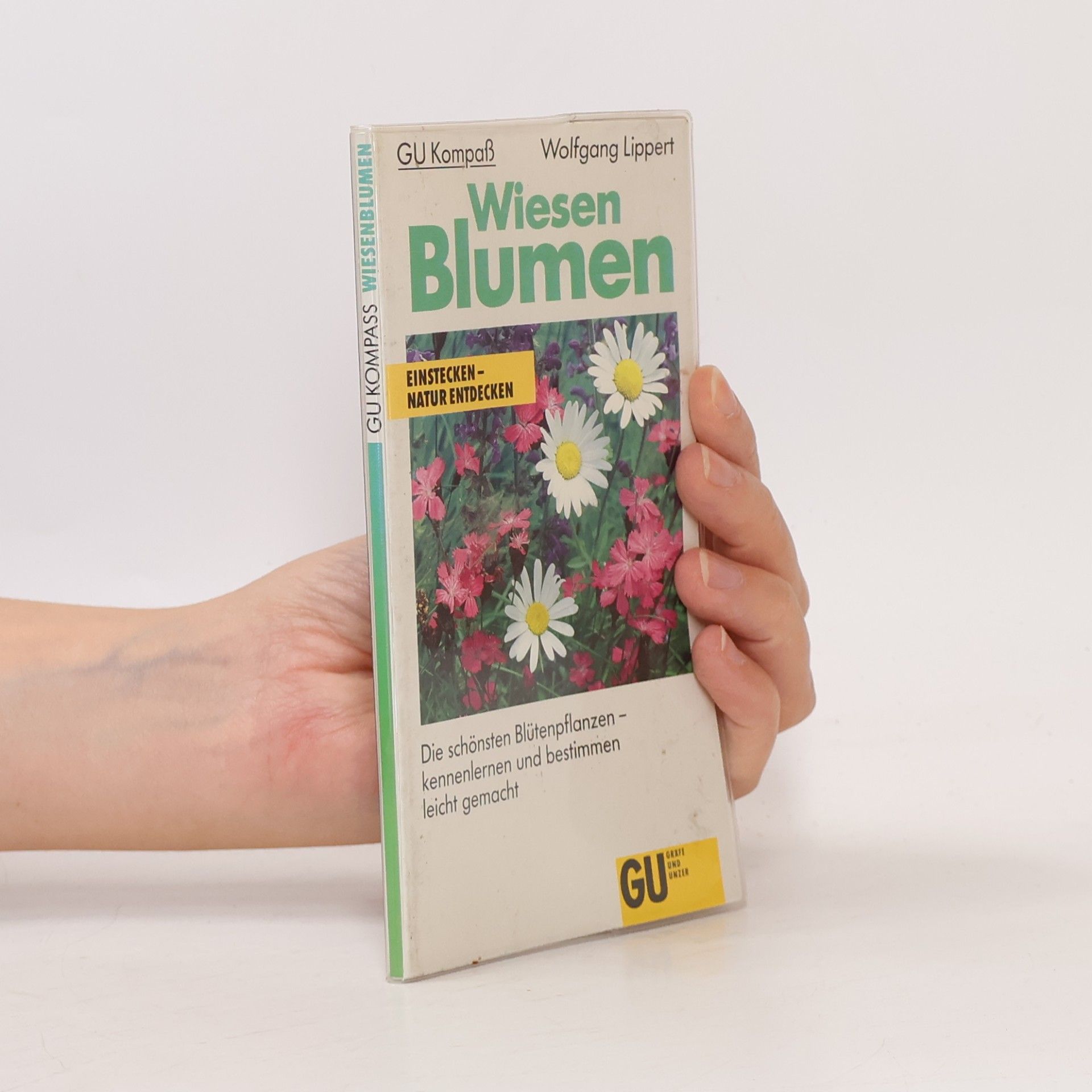 Wolfgang Lippert Wiesen-Blumen
