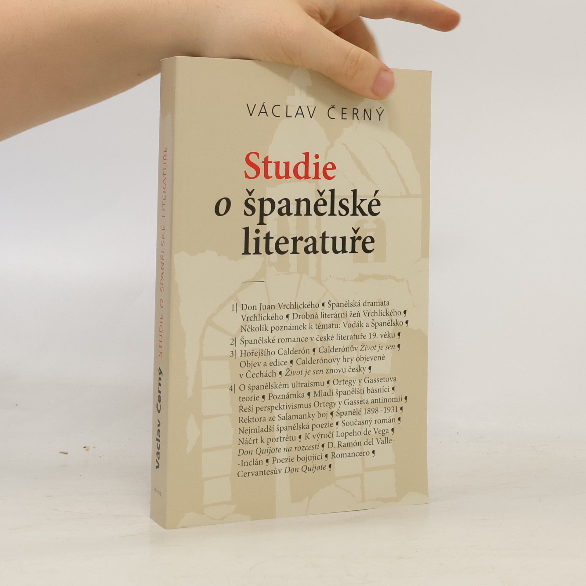 Studie o španělské literatuře