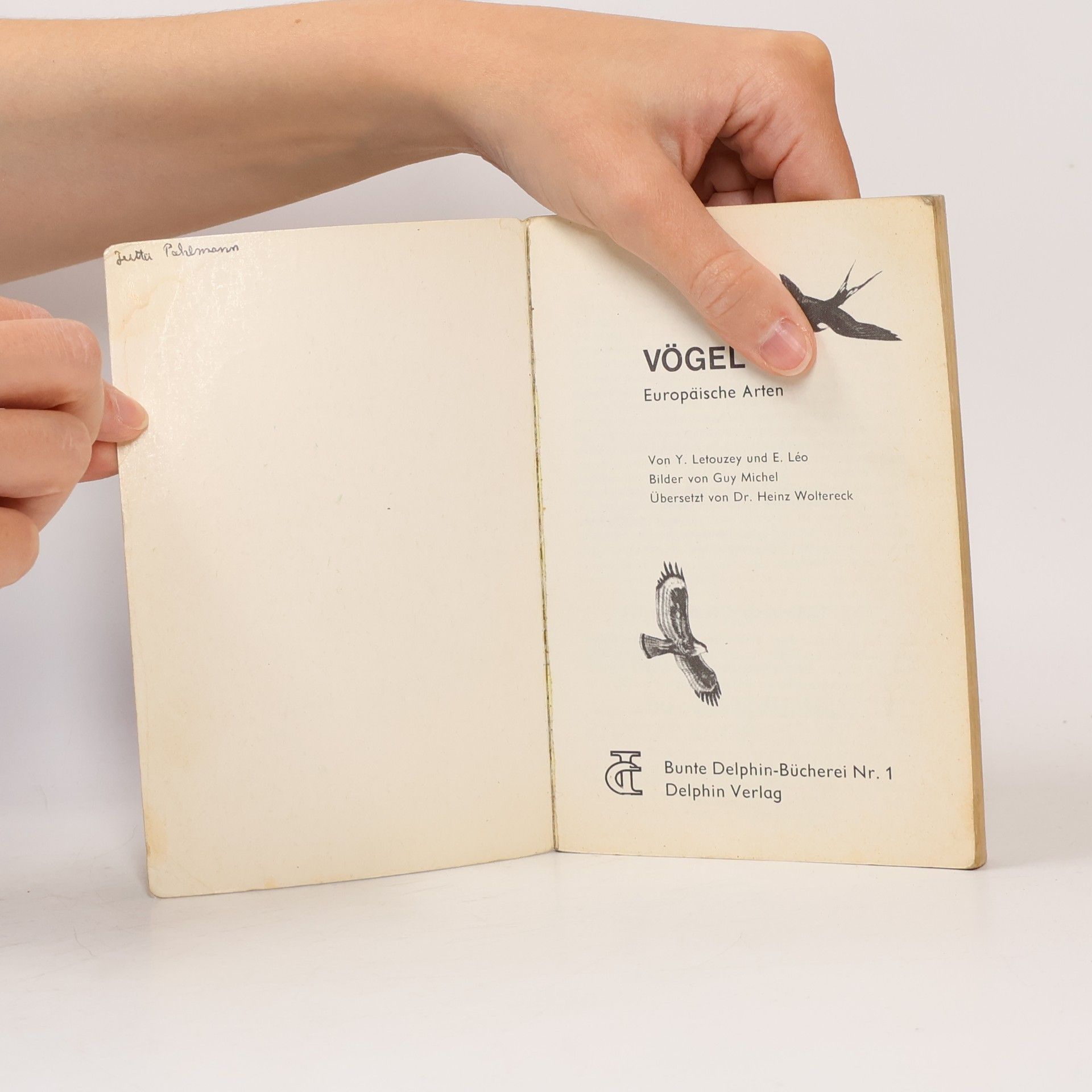 Autorenkollektiv Vögel Europäische Arten