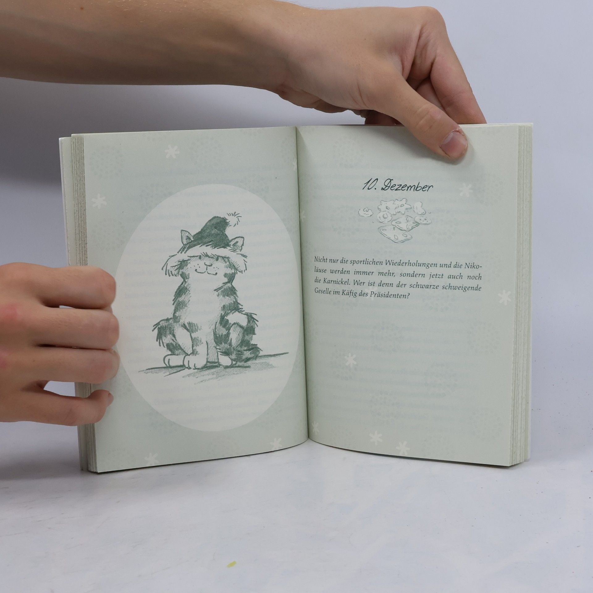 Karen Christine Angermayer Schnauze, die Nikoläuse sind los. Eine Adventsgeschichte in 24 Kapiteln