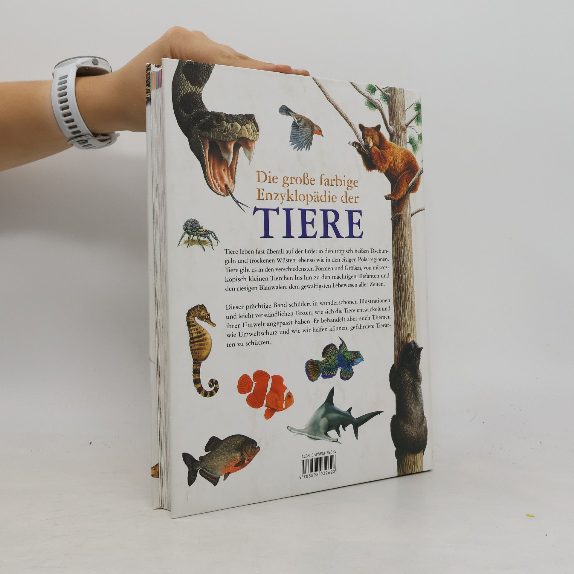 Autorenkollektiv Die große farbige Enzyklopädie der Tiere