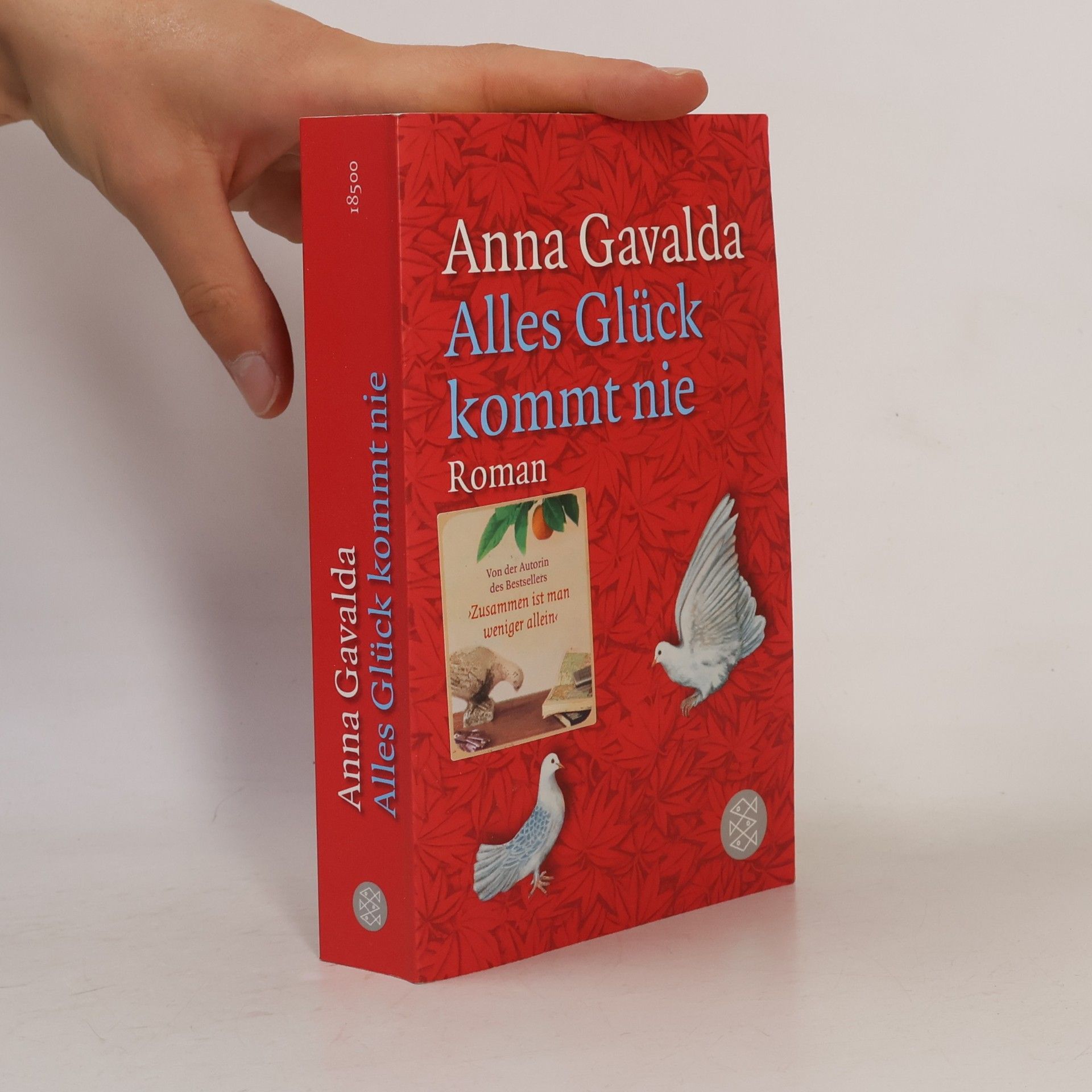 Anna Gavalda Alles Glück kommt nie