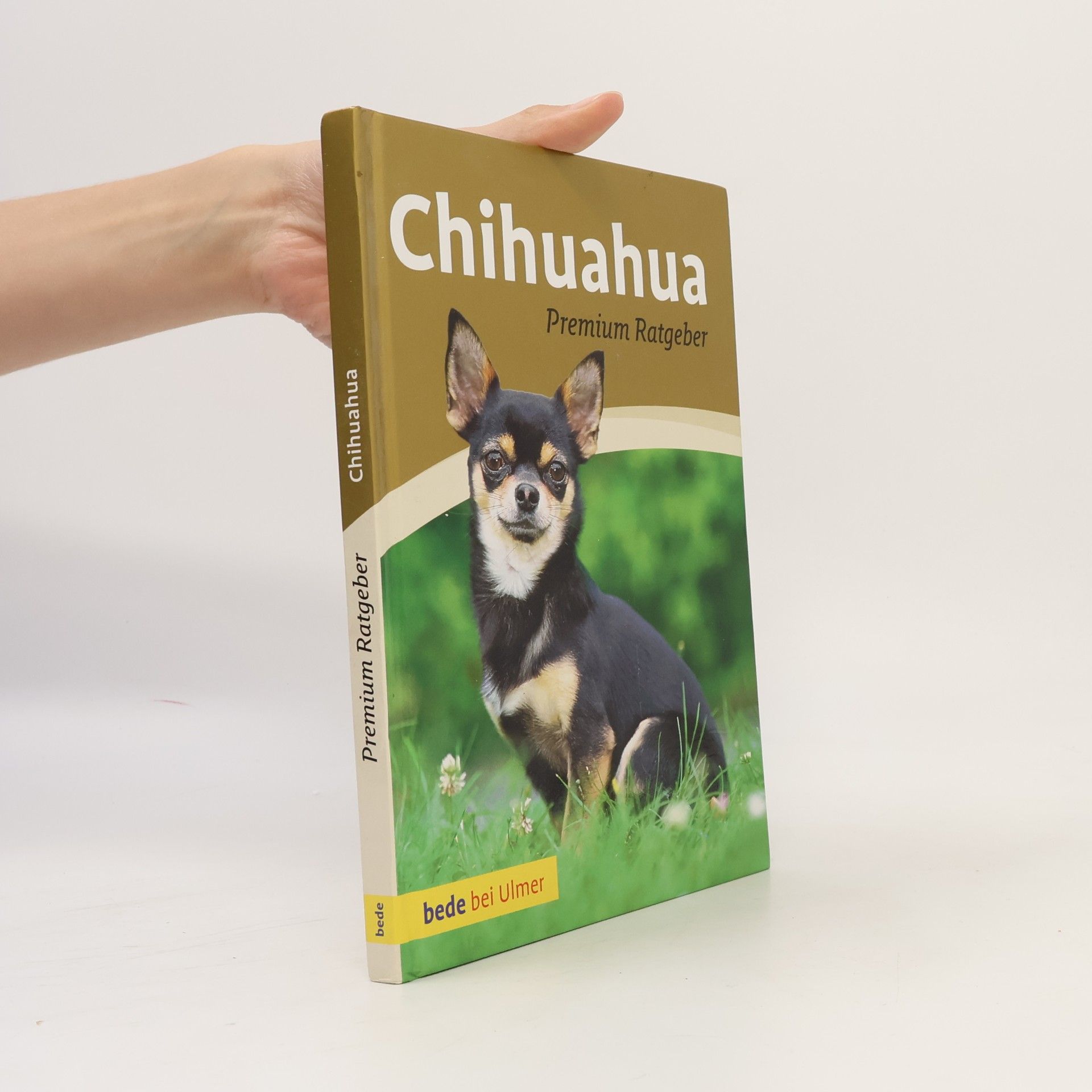Autorenkollektiv Chihuahua