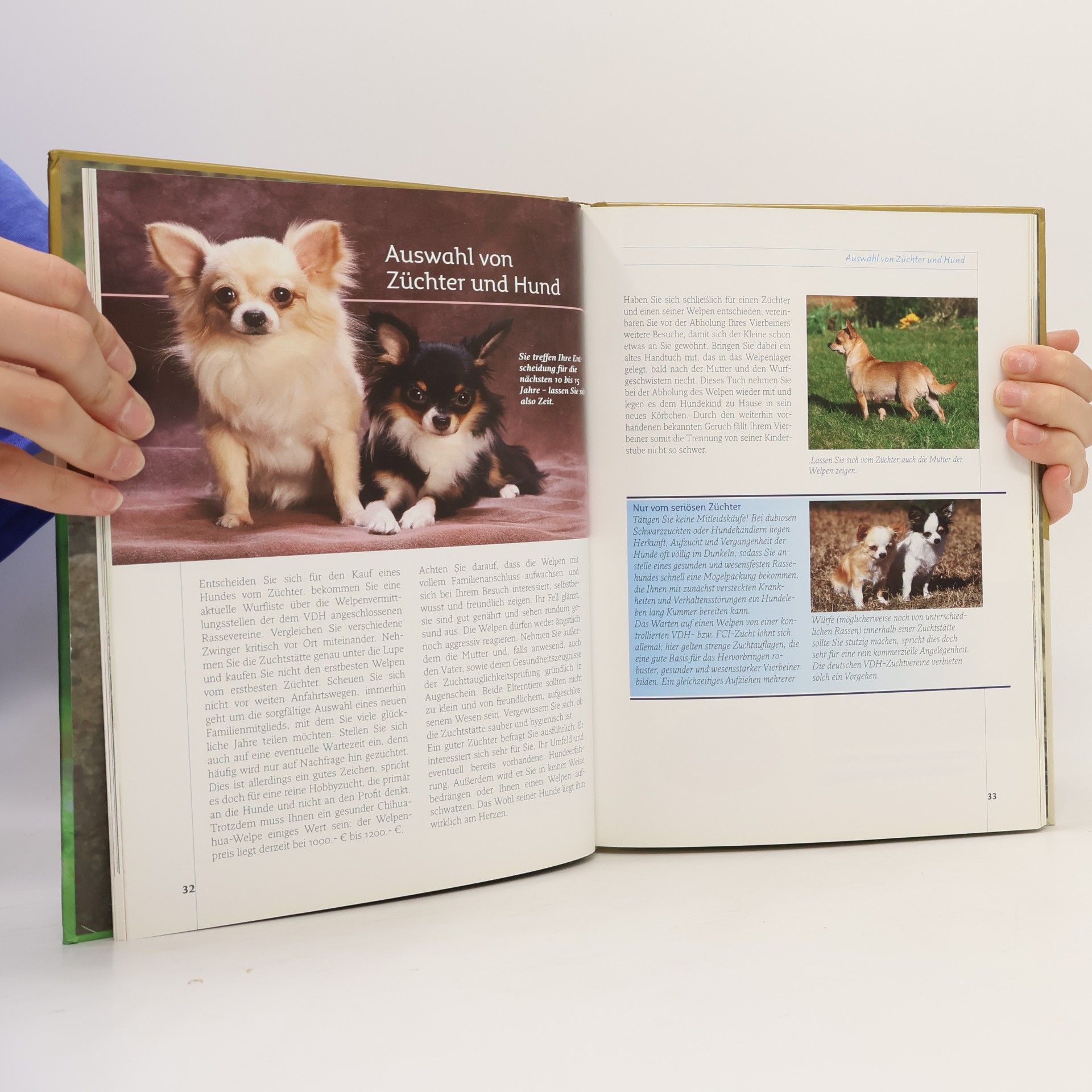 Autorenkollektiv Chihuahua