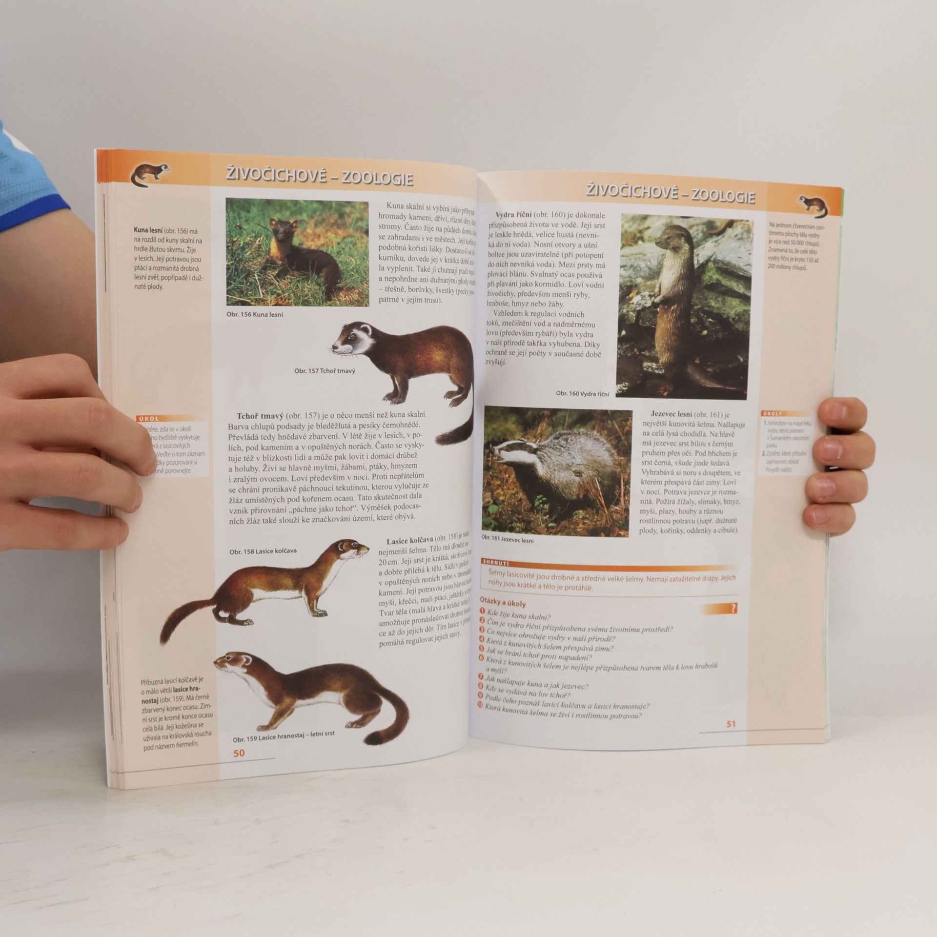 Collectif d'auteurs Přírodopis 7. Zoologie a botanika pro základní školy