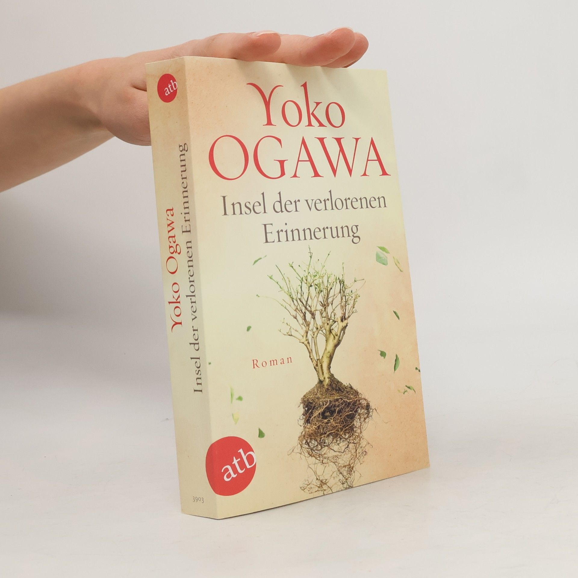 Yōko Ogawa Insel der verlorenen Erinnerung