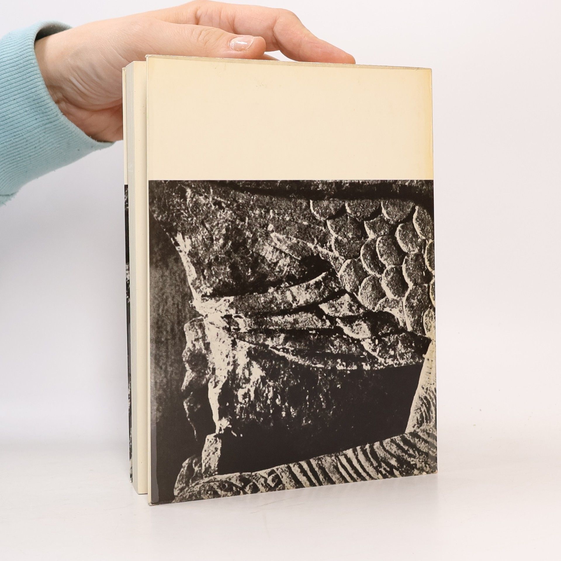 Wilhelm Messerer Kunstgeschichte Deutung Dokumente