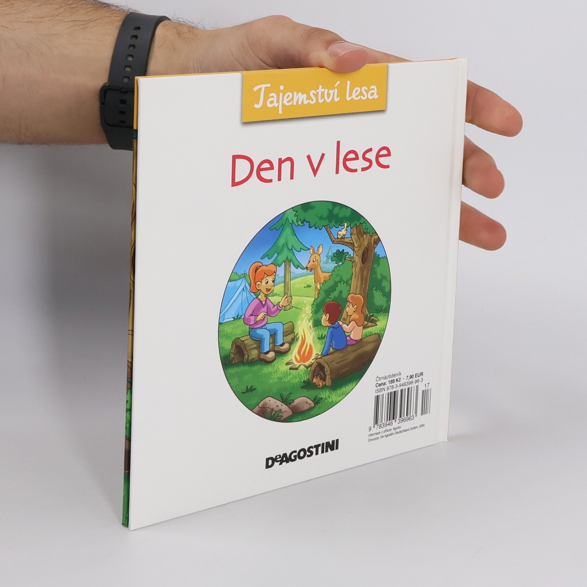 Kolektiv autorů Tajemství lesa 18. Den v lese