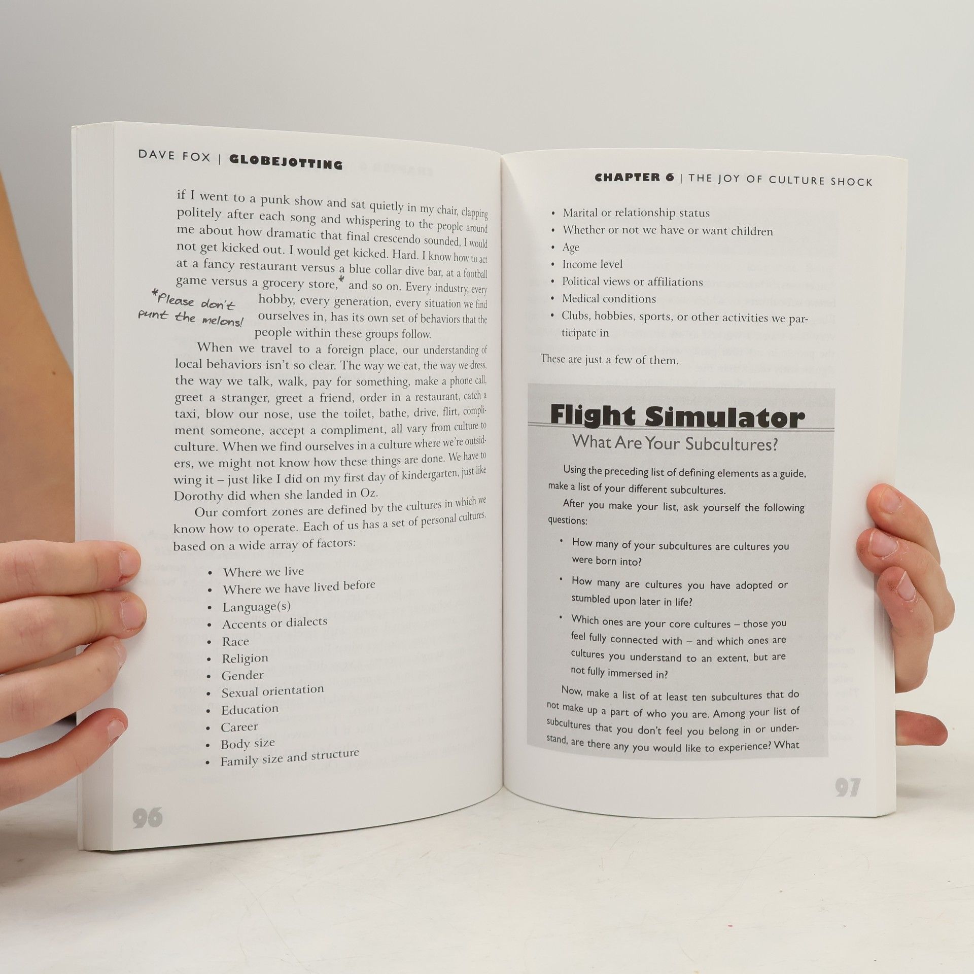 Dave Fox Globejotting- How to Write Extraordinary Travel Journals
