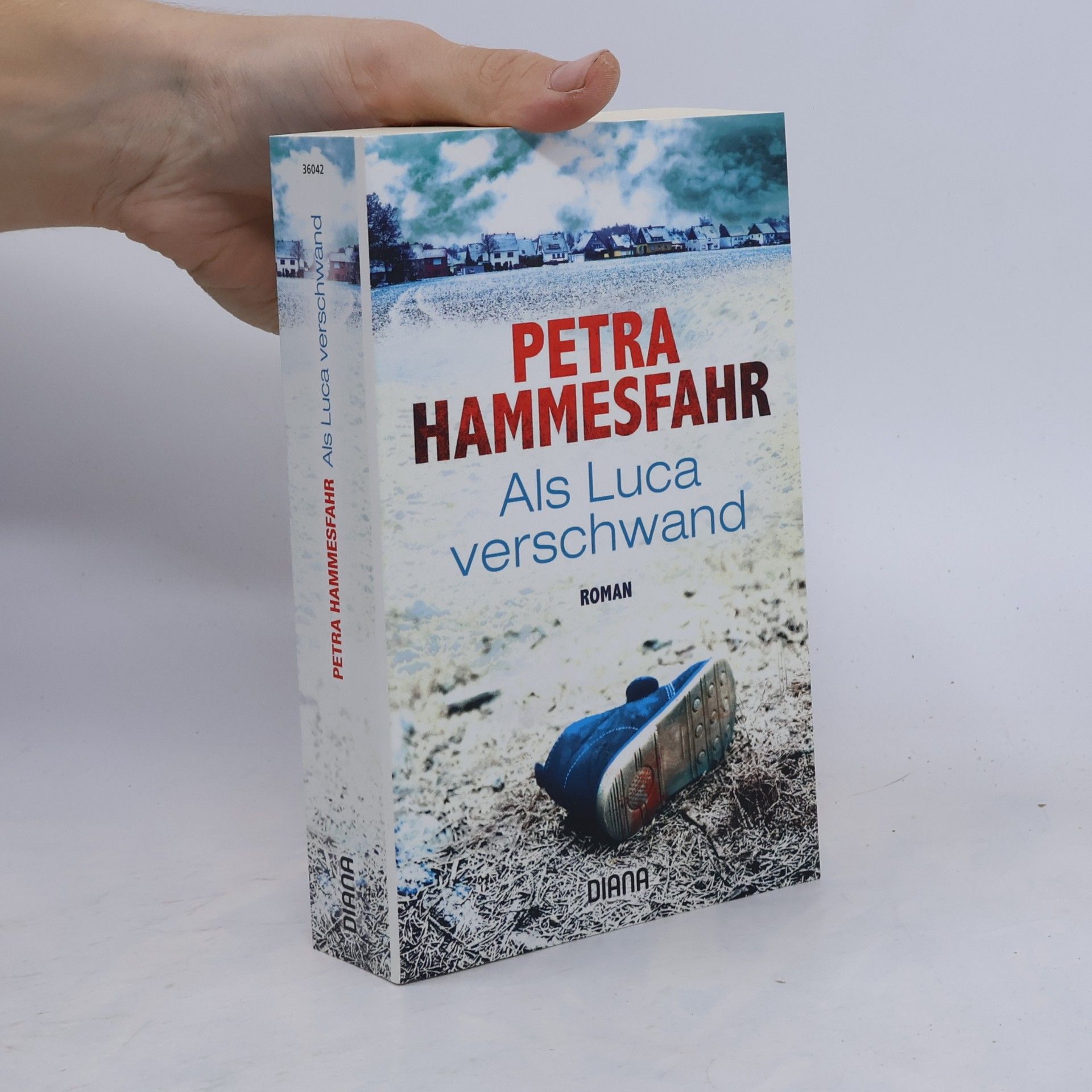 Petra Hammesfahr Als Luca verschwand