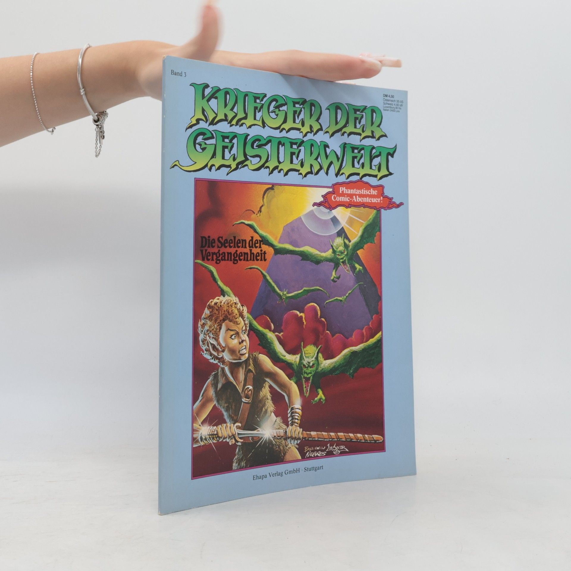 Krieger der Geisterwelt