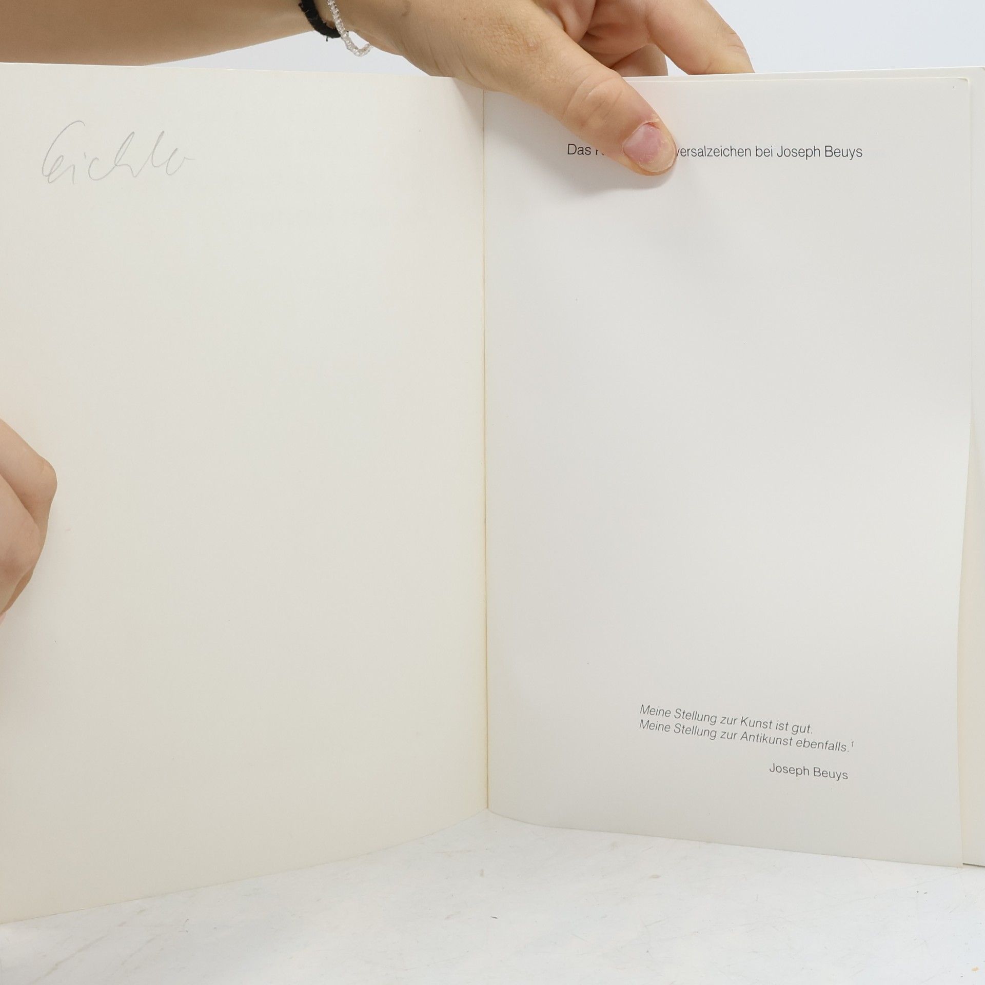 Wouter Kotte Das Kreuz als Universalzeichen bei Joseph Beuys