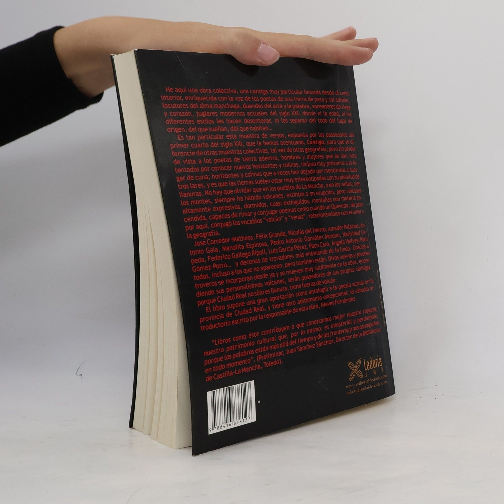 Nieves Fernández Rodríguez Cántiga. Poetas de la provincia de Ciudad Real, primer cuarto del siglo XXI