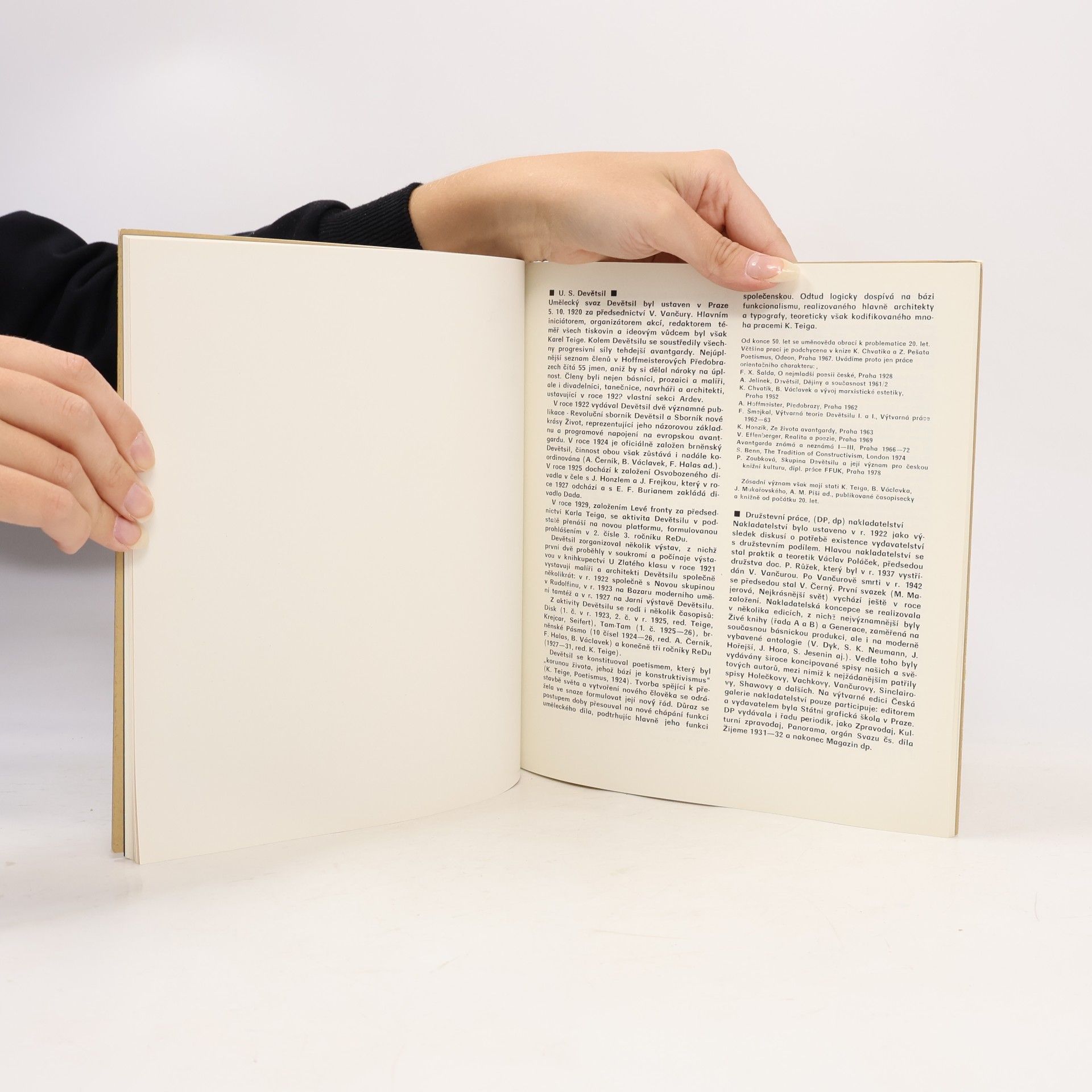 Jan Rous Český funkcionalismus 1920-1940. Užitá grafika