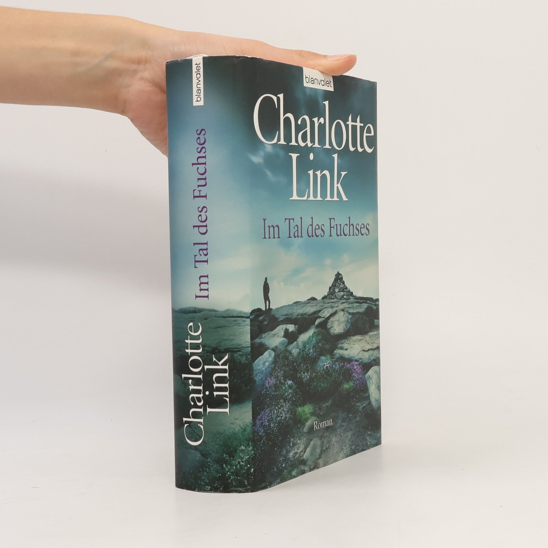 Charlotte Link Im Tal des Fuchses