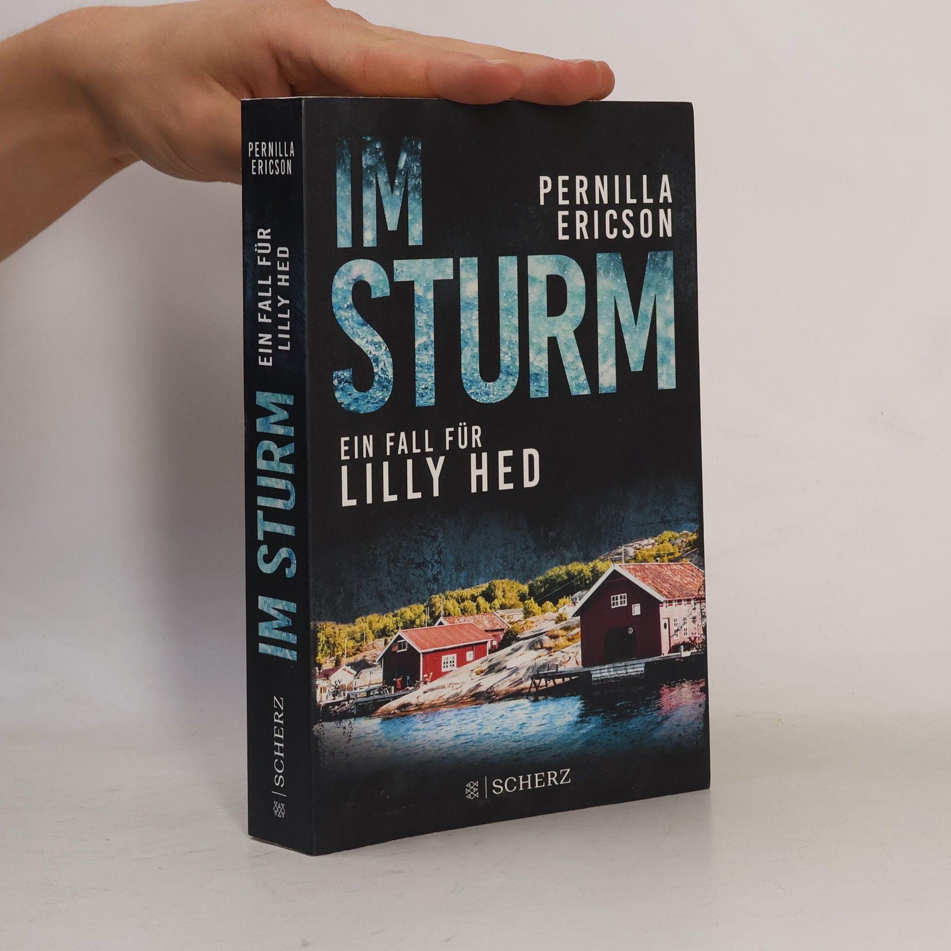 Pernilla Ericson Im Sturm