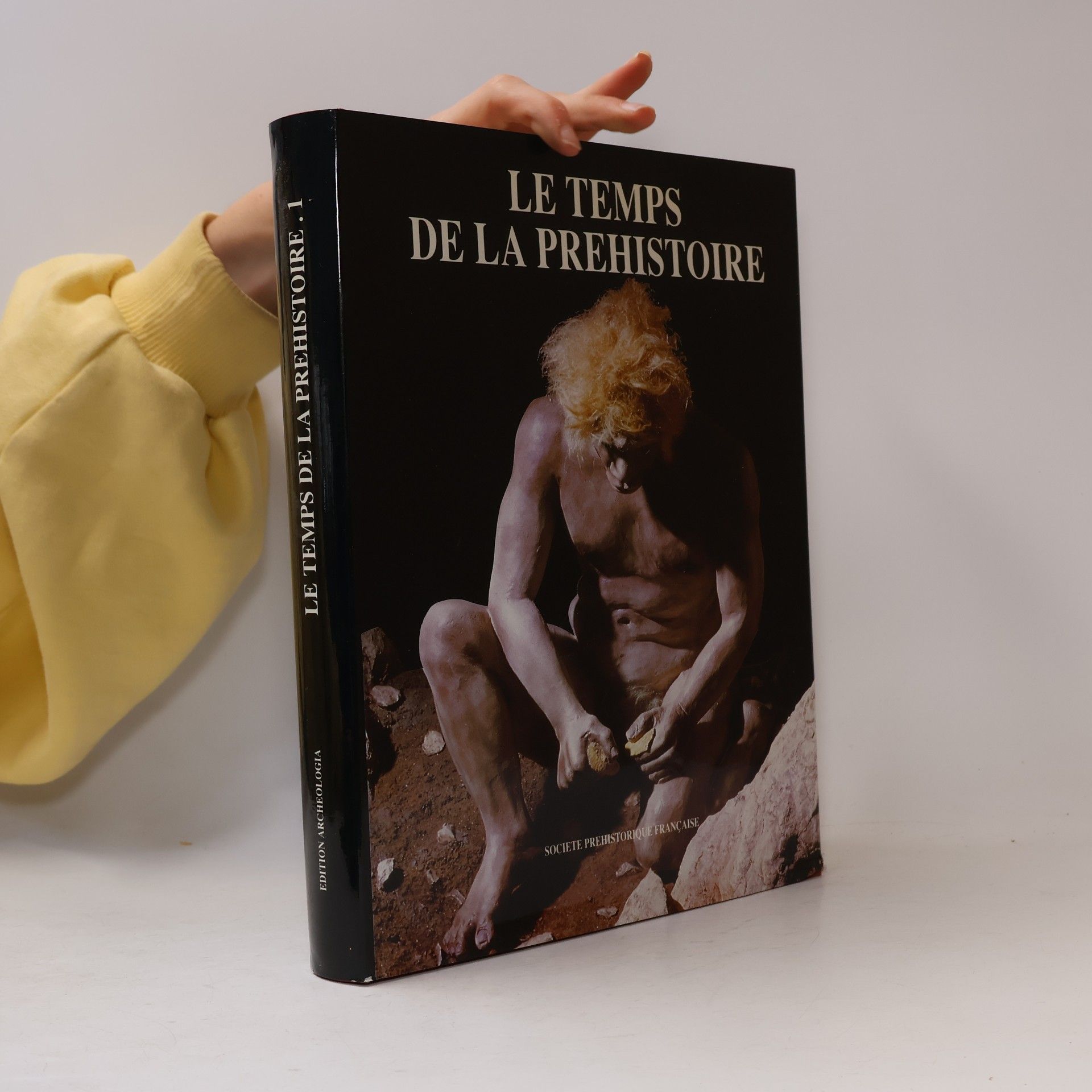 Kolektiv autorů Le Temps de la Prehistorie