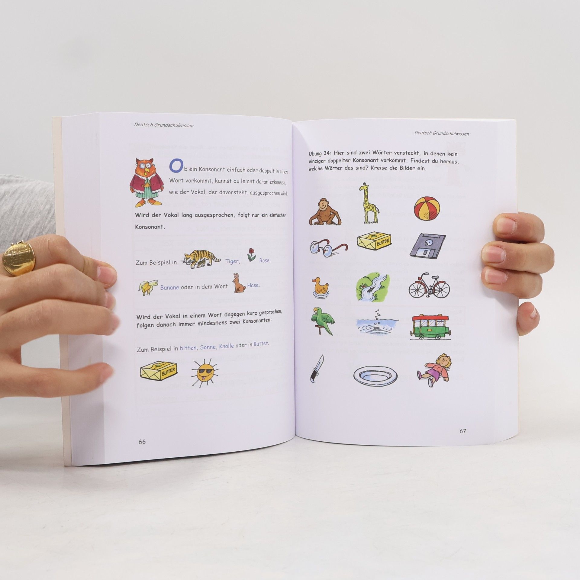 Frank E. Callies Das Grundschul-Superbuch 1.-4. Klasse