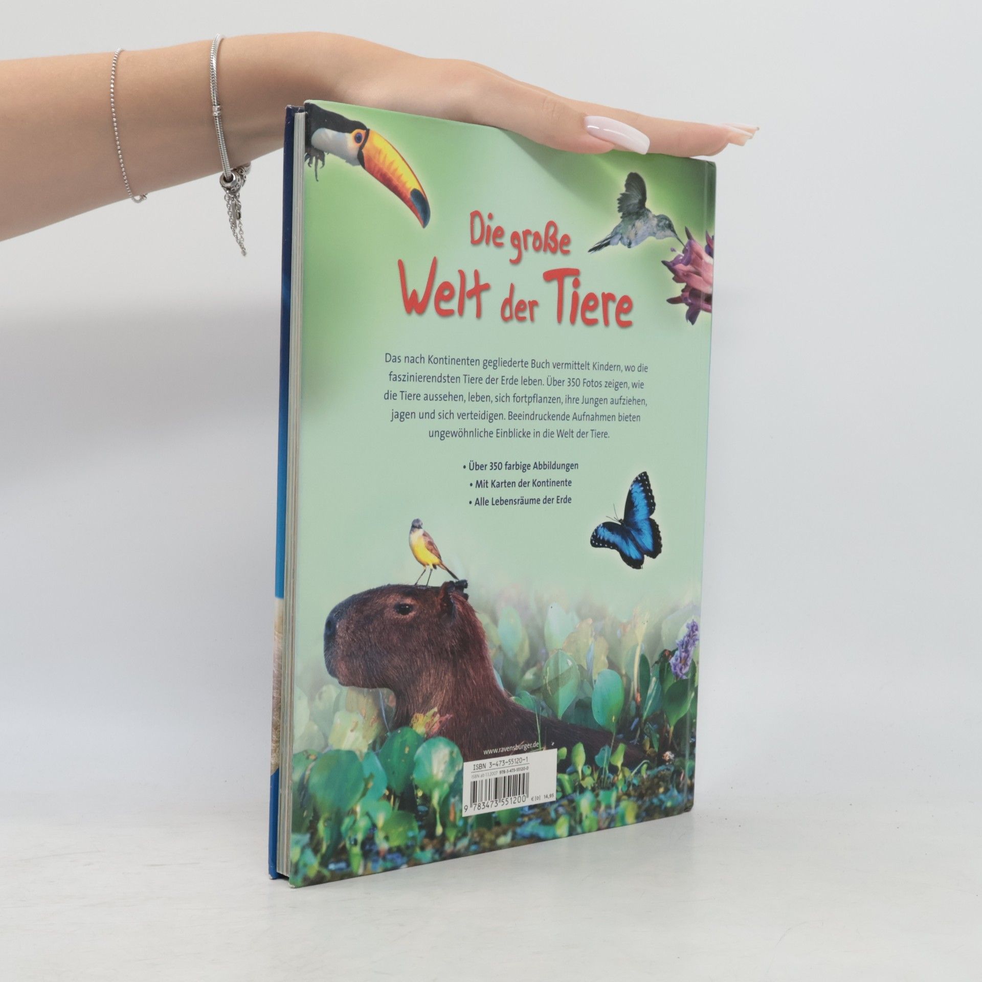 Autorenkollektiv Die große Welt der Tiere