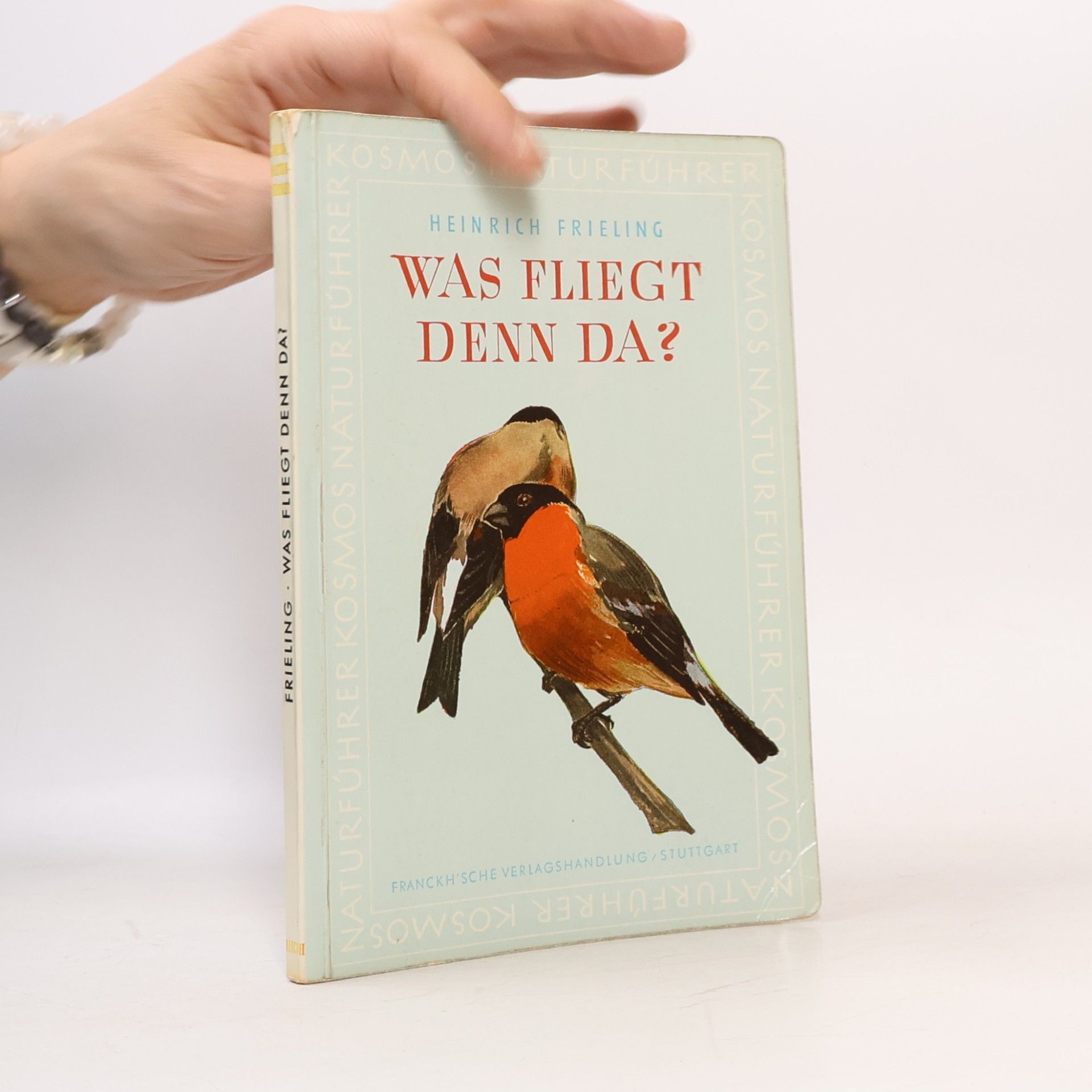 Heinrich Frieling Was fliegt denn da?