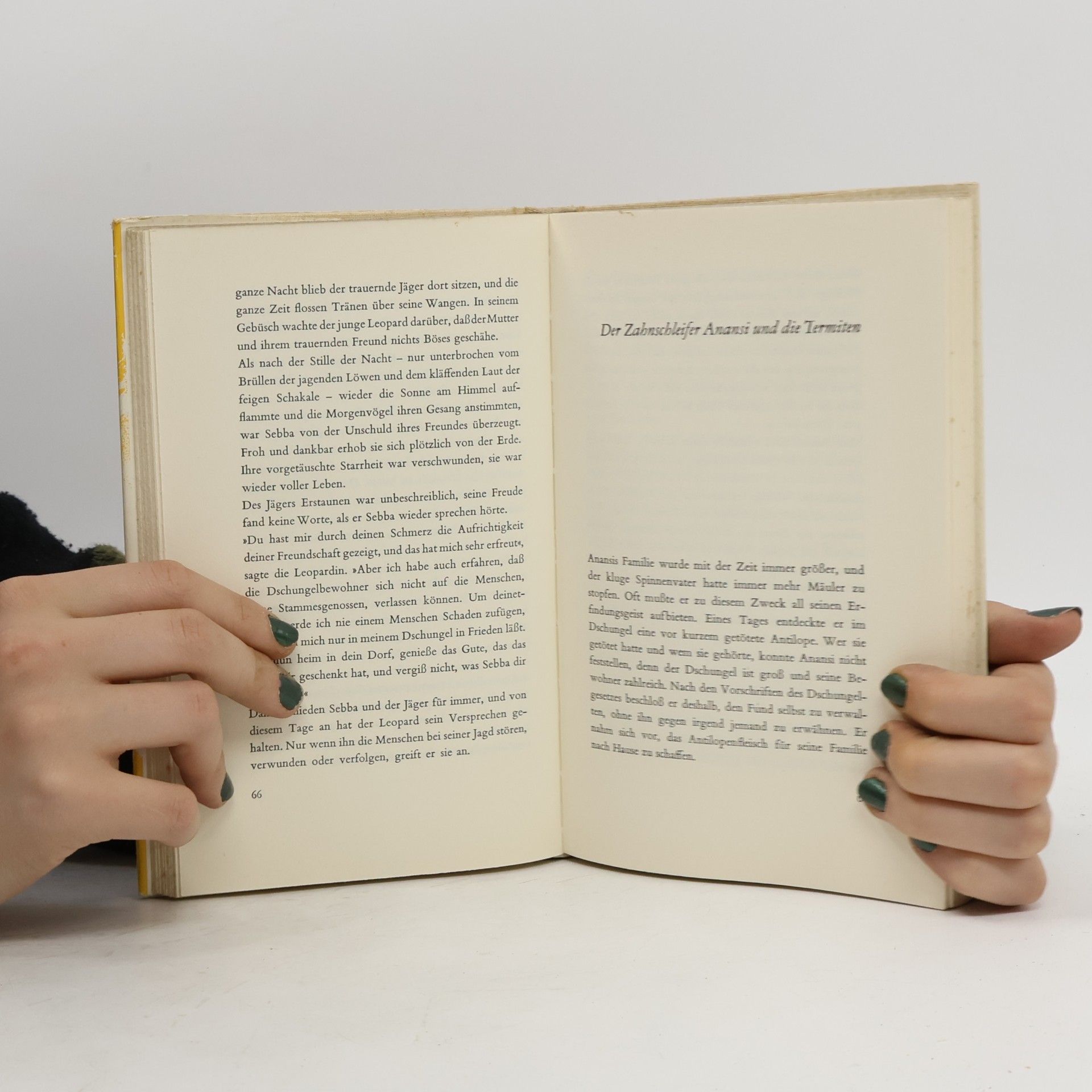 Anni Carlsson Märchen von der Goldküste